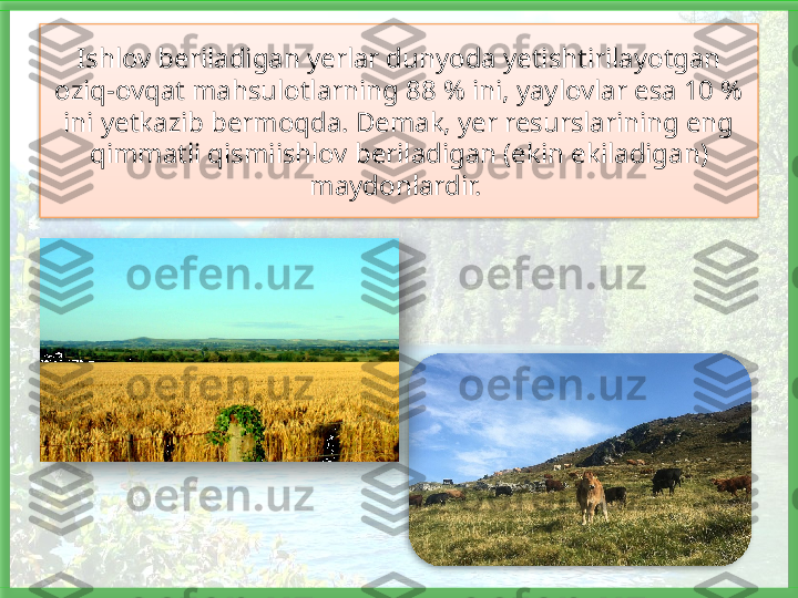 Ishlov beriladigan yerlar dunyoda yetishtirilayotgan 
oziq-ovqat mahsulotlarning 88 % ini, yaylovlar esa 10 % 
ini yetkazib bermoqda. Demak, yer resurslarining eng 
qimmatli qismiishlov beriladigan (ekin ekiladigan) 
maydonlardir.      