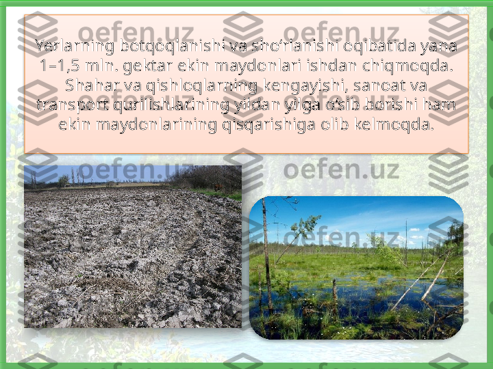 Yerlarning botqoqlanishi va sho‘rlanishi oqibatida yana 
1–1,5 mln. gektar ekin maydonlari ishdan chiqmoqda. 
Shahar va qishloq larning kengayishi, sanoat va 
transport qurilishlarining yildan yilga o‘sib borishi ham 
ekin maydonlarining qisqarishiga olib kelmoqda.     