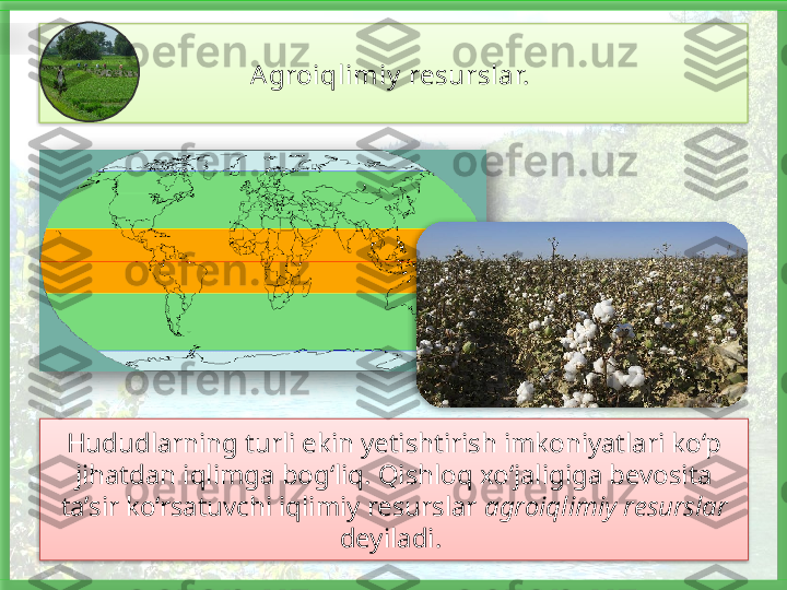 Agroiqlimiy  resurslar. 
Hududlarning turli ekin yetishtirish imkoniyatlari ko‘p 
jihatdan iqlimga bog‘liq. Qishloq xo‘jaligiga bevosita 
ta’sir ko‘rsatuvchi iqlimiy resurslar  agroiqlimiy resurslar 
deyiladi.        