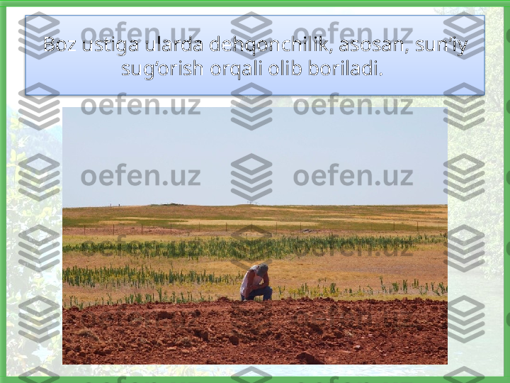 Boz ustiga ularda dehqonchilik, asosan, sun’iy 
sug‘orish orqali olib boriladi.    