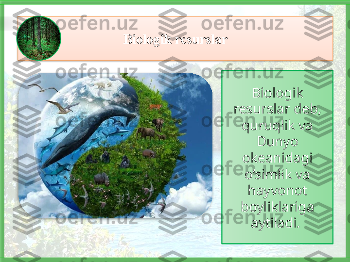 Biologik 
resurslar deb, 
quruqlik va 
Dunyo 
okeanidagi 
o‘simlik va 
hayvonot 
boyliklariga 
aytiladi. Biologik resurslar     