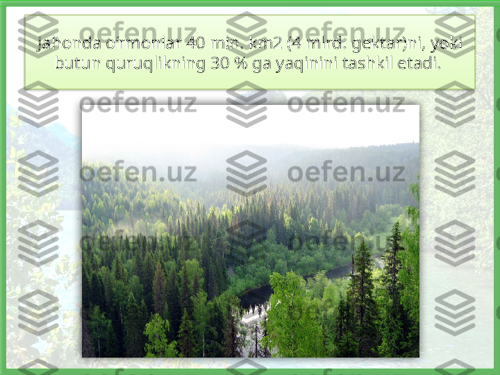 Jahonda o‘rmonlar 40 mln. km2 (4 mlrd. gektar)ni, yoki 
butun quruqlikning 30 % ga yaqinini tashkil etadi.     