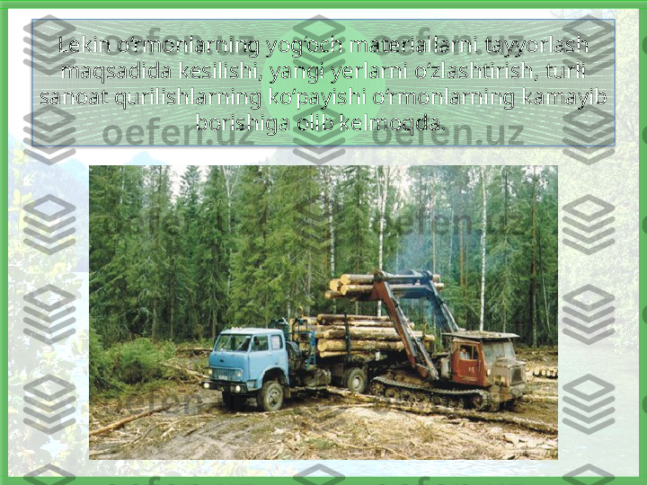 Lekin o‘rmonlarning yog‘och materiallarni tayyorlash 
maqsadida kesi lishi, yangi yerlarni o‘zlashtirish, turli 
sanoat qurilishlarning ko‘payishi o‘rmonlarning kamayib 
borishiga olib kelmoqda.    