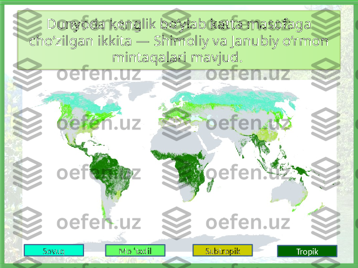 Dunyoda kenglik bo‘ylab katta masofaga 
cho‘zilgan ikkita — Shimoliy va Janubiy o‘rmon 
mintaqalari mavjud. 
Sovuq
Mo ‘tadil Subtropik
Tropik   