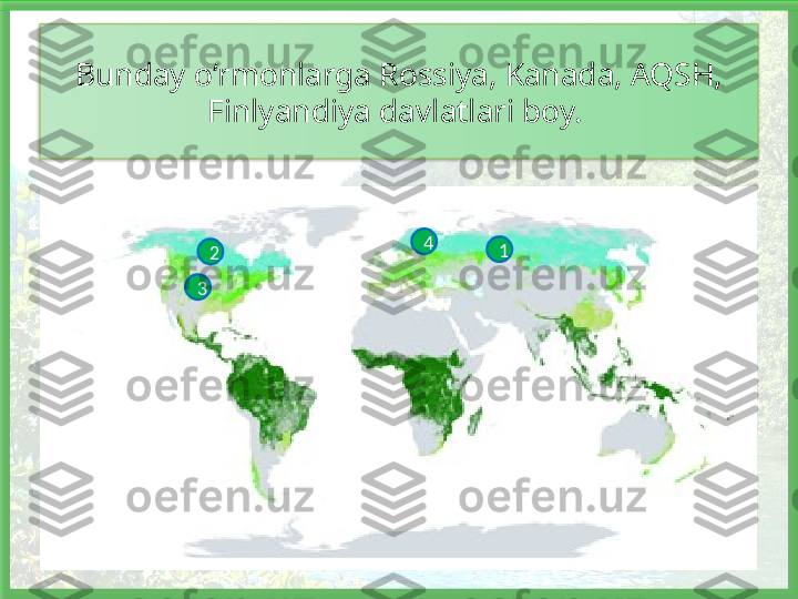 Bunday o‘rmonlarga Rossiya, Kanada, AQSH, 
Finlyandiya davlatlari boy. 
3 4
2 1   