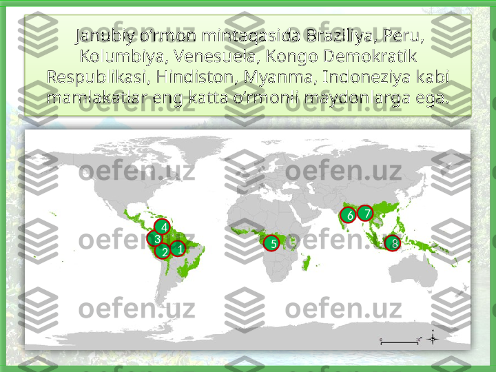   Janubiy o‘rmon mintaqasida Braziliya, Peru, 
Kolumbiya, Venesuela, Kongo Demokratik 
Respublikasi, Hindiston, Myanma, Indoneziya kabi 
mamlakatlar eng katta o‘rmonli maydonlarga ega.
1
23 4 7
5 86    