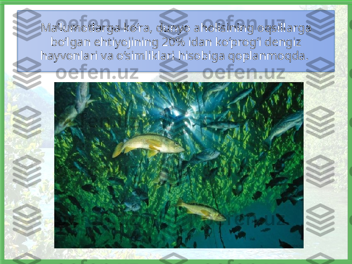 Ma’lumotlarga ko‘ra, dunyo aholisining oqsillarga 
bo‘lgan ehtiyojining 20% idan ko‘prog‘i dengiz 
hayvonlari va o‘simliklari hisobiga qoplanmoqda.    