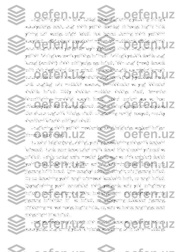 Urug‘larning yetilishi.  Har  xil  turdagi  daraxt  urug‘larining yetukliligi  biologik
xususiyatlariga   qarab,   urug‘   pishib   yetilish   davridagi   ob-havoga   bog‘liq   holda
yilning   turli   vaqtiga   to‘g‘ri   keladi.   Past   harorat   ularning   pishib   yetilishini
susaytiradi.   Urug‘   ashyosi   tayyorlashni   ma’lum   bir   muddatlarda   amalga   oshirish
zarur.   Urug‘lar   pishib   yetilgandan   keyin   yig‘ib-terib   olinadi.   Urug‘larning   pishib
yetilishi fiziologik va texnik yetilishga bo‘linadi. Fiziologik yetuklik davrida urug‘
kurtagi   (zarodishi)   o‘sish   qobiliyatiga   ega   bo‘ladi,   lekin   urug‘   (meva)   daraxtda
qolib o‘sib-rivojlanishni  davom  ettiradi. Bu davrda urug‘da suv  miqdori  kamayib
quruq   moddalar   ortib   boradi.   Keyinchalik   urug‘   texnik   (hosil)   yetuklikka   o‘tadi,
unda   urug‘dagi   oziq   moddalari   saxaroza,   aminokislotalar   va   yog‘   kislotalari
shaklida   bo‘ladi.   Oddiy   shakldan   moddalar   shakliga   o‘tadi,   fermentlar
ishqorliligining   intensivligi   susayib   boradi.   Tashqi   qoplami   suv   va   havo
o‘tkazmaydigan zich qoplamga aylanadi. Urug‘da biologik jarayonlar to‘xtaydi va
ular   chuqur   turg‘unlik   holatiga   o‘tadi.   Urug‘larning   namligi   pasayadi,   noqulay
sharoitlarni ko‘tarish qobiliyati oshadi.
Urug‘larning   pishib   yetilishi   mevalarning   tashqi   belgilariga   xarakterli   bo‘lgan
bir necha fazani o‘taydi.
Bu tashqi belgilar (rangi, zichligi, yoriqligi) mevalarining pishganlik darajasini
ko‘rsatadi.   Bunda   qator   daraxt   turlari   onalik   daraxti   bilan   aloqasini   yo‘qotadi   va
to‘kiladi.   Uchala   turdagi   archa   mevalari   (qora,   saur   va   o‘rik   archalari)   dastlab
yashil   bo‘lib,   urug‘i   pishib   yetilgan   sari   to‘q   ko‘kimtir   qatlamli   qo‘ng‘ir,   to‘q
jigarrang bo‘lib boradi. Qrim  qarag‘ayi  qubbalari qo‘ng‘ir, to‘q jigarrang bo‘ladi.
Oq   tut   daraxtining   yashil   rangli   to‘pmevasi   kattalashib   borib,   oq   rangli   bo‘ladi.
Qayrag‘ochning   yashil   qanotchalari   pishib   yetilganda   sariq   yoki   qo‘ng‘irrang
bo‘ladi.   Eman   urug‘larining   pisha   boshlanganligini   cho‘chqayong‘oqlarning
jigarrang   bo‘lishidan   bil-   sa   bo‘ladi,   oq   akatsiyaning   dukkaklari   jigarrang,
o‘riklarning me- vasi naviga bog‘liq holda, oq, sariq va boshqa rangliligiga qarab
pishganligini bilsa bo‘ladi.
Urug‘   va   mevalarni   yig‘ib-terib   olish   muddati   daraxt   va   butalarning   biologik
xususiyatiga,   urug‘larning   yetuklik   holatiga   va   ularning   uzilib   tushish   muddatiga 