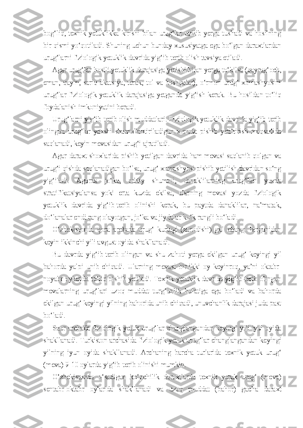 bog‘liq,   texnik   yetuklikka   kirishi   bilan   urug‘lar   uzilib   yerga   tushadi   va   hosilning
bir qismi yo‘qotiladi. Shuning uchun bunday xususiyatga ega bo‘lgan daraxtlardan
urug‘larni fiziologik yetuklik davrida yig‘ib-terib olish tavsiya etiladi.
Agar urug‘lar hosili yetuklik darajasiga yetishi bilan yerga to‘kilsa (qayrag‘och,
eman,   qayin,   sariq   akatsiya,   terak,   tol   va   boshqalar),   o‘rmon   urug‘   xomashyosini
urug‘lar   fiziologik   yetuklik   darajasiga   yetganda   yig‘ish   kerak.   Bu   hosildan   to‘liq
foydalanish imkoniyatini beradi.
Urug‘larni yig‘ib-terib olish muddatlari. Fiziologik yetuklik davrida yig‘ib-terib
olingan   urug‘lar   yaxshi   shamollantiriladigan   xonada   pishib   yetiltirish   maqsadida
saqlanadi, keyin mevasidan urug‘i ajratiladi.
Agar daraxt shoxlarida pishib yetilgan davrida ham mevasi saqlanib qolgan va
urug‘i qishda saqlanadigan bo‘lsa, urug‘ xomashyosi pishib yetilish davridan so‘ng
yig‘iladi.   Agarda   jo‘ka,   oddiy   shumtol,   danaklilarning   urug‘lari   yozda
stratifikatsiyalansa   yoki   erta   kuzda   ekilsa,   ularning   mevasi   yozda   fiziologik
yetuklik   davrida   yig‘ib-terib   olinishi   kerak,   bu   paytda   danaklilar,   na’matak,
do‘lanalar endi rang olayotgan, jo‘ka va jiydalar ko‘k rangli bo‘ladi.
O‘zbekistonda   qora   archada   urug‘   kurtagi   (zarodishi)   gul   chang-   langanidan
keyin ikkinchi yili avgust oyida shakllanadi.
Bu   davrda   yig‘ib-terib   olingan   va   shu   zahoti   yerga   ekilgan   urug‘   keyingi   yil
bahorda   yalpi   unib   chiqadi.   Ularning   mevasi   bir-ikki   oy   keyinroq,   ya’ni   oktabr-
noyabr oylarida to‘liq pishib yetiladi. Texnik yetuklik davrida yig‘ib-terib olingan
mevalarning   urug‘lari   uzoq   muddat   turg‘unlik   holatiga   ega   bo‘ladi   va   bahorda
ekilgan urug‘ keyingi yilning bahorida unib chiqadi, unuvchanlik darajasi juda past
bo‘ladi. 
Saur   archada   fiziologik   yetuk  urug‘lar   changlangandan   keyingi   yili   iyul   oyida
shakllanadi. Turkiston archasida fiziologik yetuk urug‘lar changlangandan keyingi
yilning   iyun   oyida   shakllanadi.   Archaning   barcha   turlarida   texnik   yetuk   urug‘
(meva) 9-10 oylarda yig‘ib-terib olinishi mumkin.
O‘zbekistonda   o‘sadigan   ko‘pchilik   daraxtlarda   texnik   yetuk   urug‘   (meva)
sentabr-oktabr   oylarida   shakllanadi   va   uzoq   muddat   (bahor)   gacha   daraxt 