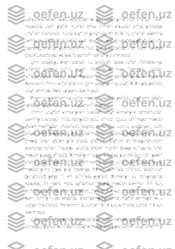 tushguncha   asosan   kasal,   zararlangan   va   yetilmagan   yong‘oqlar   to‘kiladi.   Ekish
maqsadida   ularni   yig‘ish   mumkin   emas.   Birinchi   sovuqdan   so‘ng,   yoppasiga
to‘kilishi   boshlanadi.   Bunda   sog‘lom   yong‘oqlar   60-70   %   ni,   to‘kilish   davrining
oxirida   esa   90-95   %   ni   tashkil   etadi.   Sog‘lom,   yetilgan   cho‘chqayong‘oqlar   to‘q
jigarrang, po‘stlog‘i yaltiroq jiloli bo‘ladi. Qishda saqlashdan oldin ularni navlarga
ajratish, zararlangan va kasallanganlarini tashlab yuborish zarur.
Qrim   qarag‘ayi,   virgin   archasi.   Bu   ignabargli   daraxt   turlari   O‘zbekistonga
ko‘chirib   kelingan   bo‘lib,   yaxshi   o‘smoqda   va   meva   bermoqda.   Ulardan
ko‘kalamzorlashtirishda   keng   foydalaniladi.   Bu   ekinlarning   katta   maydoni
Samarqand o‘rmon xo‘jaligida bor. Qrim qarag‘ayining urug‘i X-XI oyda yetiladi,
urug‘ terimi esa fevral oyigacha davom etadi.
Virgin   qora   archasining   qubba   mevalari   oktabrda   yetiladi,   urug‘larini   dekabr
oyida ham yig‘ish mumkin. Urug‘lar qo‘lda teriladi.
O‘rmon   urug‘lari   xomashyosini   tozalash.   Urug‘   xomashyosi   terimchilardan
taxminiy   tozalangan   holda   partiyalab   qabul   qilinadi.   Quruq   ochilmagan   mevalar
g‘alvir   mashinadan   o‘tqaziladi,   barglar,   shoxchalar,   tuproq,   zararlangan,   qurib
qolgan bo‘sh mevalar va boshqa aralashmalardan tozalanadi. Mayda qismlari urug‘
(meva)   lardan   g‘alvir   yoki   elakda   ajratiladi.   Sog‘lom   cho‘chqayong‘oqlarni
zararlanganlaridan   flotatsiya   uslubida   ajratish   mumkin   (suvga   solinganda   bo‘sh
mevalar   yuzaga   chiqadi).   Xomashyoni   qayta   ishlashga   yuborishdan   oldin   yaxshi
shamollatilgan joyda quritilib, tegishli namlik darajasi qoldiriladi. Bu holda mayda
mevalar   yopiq   joyga   yoki   brezentga   3-5   sm   qalinlikda   to‘kiladi,   kattaroqlari
(yong‘oqlar)   yerga   10   sm   qalinlikda   yoyiladi.   Xomashyo   qu-   ritilayotganda
sutkasiga   bir   necha   marta   ag‘dariladi.   Mayda   mevalar   taxminan   3-4   kun,
cho‘chqayong‘oqlar,   zarang   mevalari,   jiydalar   5-7   kun   quritiladi.   Yong‘oqning
vazni   doimiy   holga   kelganda,   chaqilgan   yong‘oqning   mag‘izi   ezilmaydi   va   u
qurigan hisoblanadi. Yer xirmonida quritish 15-18 kun, so‘rilarda quritish 4-8 kun
davom etadi. 
Qurigandan   so‘ng   yong‘oqlar   kattaligiga   qarab   navlarga   ajratiladi,   taralarga-
qoplarga joylanadi va hokazo. Urug‘ xomashyosini qayta quritish urug‘ unishining 