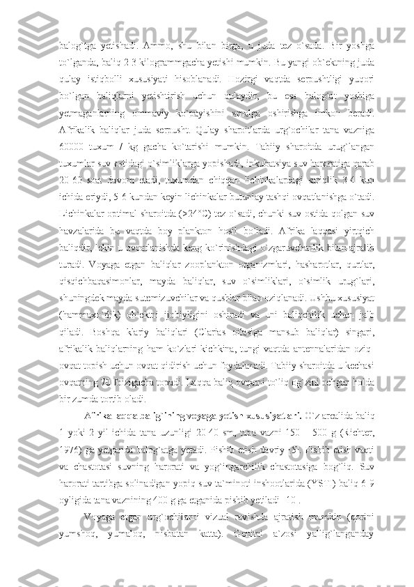 balog`tga   yetishadi.   Ammo,   shu   bilan   birga,   u   juda   tez   o`sada.   Bir   yoshga
to`lganda, baliq 2-3 kilogrammgacha yetishi mumkin. Bu yangi ob`ektning juda
qulay   istiqbolli   xususiyati   hisoblanadi.   Hozirgi   vaqtda   serpushtligi   yuqori
bo`lgan   baliqlarni   yetishtirish   uchun   qulaydir,   bu   esa   balog`at   yoshiga
yetmaganlarning   ommaviy   ko`payishini   amalga   oshirishga   imkon   beradi.
Afrikalik   baliqlar   juda   serpusht.   Qulay   sharoitlarda   urg`ochilar   tana   vazniga
60000   tuxum   /   kg   gacha   ko`tarishi   mumkin.   Tabiiy   sharoitda   urug`langan
tuxumlar suv ostidagi o`simliklarga yopishadi, inkubatsiya suv haroratiga qarab
20-60   soat   davom   etadi,   tuxumdan   chiqqan   lichinkalardagi   sariqlik   3-4   kun
ichida eriydi, 5-6 kundan keyin lichinkalar butunlay tashqi ovqatlanishga o`tadi.
Lichinkalar optimal sharoitda (>24°C) tez o`sadi, chunki suv ostida qolgan suv
havzalarida   bu   vaqtda   boy   plankton   hosil   bo`ladi.   Afrika   laqqasi   yirtqich
baliqdir, lekin u ovqatlanishda keng ko`rinishdagi o`zgaruvchanlik bilan ajralib
turadi.   Voyaga   etgan   baliqlar   zooplankton   organizmlari,   hasharotlar,   qurtlar,
qisqichbaqasimonlar,   mayda   baliqlar,   suv   o`simliklari,   o`simlik   urug`lari,
shuningdek mayda sutemizuvchilar va qushlar bilan oziqlanadi. Ushbu xususiyat
(hammaxo`rlik)   ob`ektni   ijobiyligini   oshiradi   va   uni   baliqchilik   uchun   jalb
qiladi.   Boshqa   klariy   baliqlari   (Clarias   oilasiga   mansub   baliqlar)   singari,
afrikalik   baliqlarning   ham   ko`zlari   kichkina,   tungi   vaqtda   antennalaridan   oziq-
ovqat topish uchun ovqat qidirish uchun foydalanadi. Tabiiy sharoitda u kechasi
ovqatning 70 foizigacha topadi. Laqqa baliq ovqatni to`liq og`zini ochgan holda
bir zumda tortib oladi. 
Afrika laqqa balig`ining voyaga yetish xususiyatlari.  O`z arealida baliq
1   yoki   2   yil   ichida   tana   uzunligi   20-40   sm,   tana   vazni   150   –   500   g   (Richter,
1976)  ga yetganda balog`atga yetadi. Pishib etish davriy [5]. Pishib etish vaqti
va   chastotasi   suvning   harorati   va   yog`ingarchilik   chastotasiga   bog`liq.   Suv
harorati tartibga solinadigan yopiq suv ta`minoti inshootlarida (YSTI) baliq 6-9
oyligida tana vaznining 400 g ga etganida pishib yetiladi [10].
Voyaga   etgan   urg`ochilarni   vizual   ravishda   ajratish   mumkin   (qorini
yumshoq,   yumaloq,   nisbatan   katta).   Genital   a`zosi   yallig`langanday
11 
