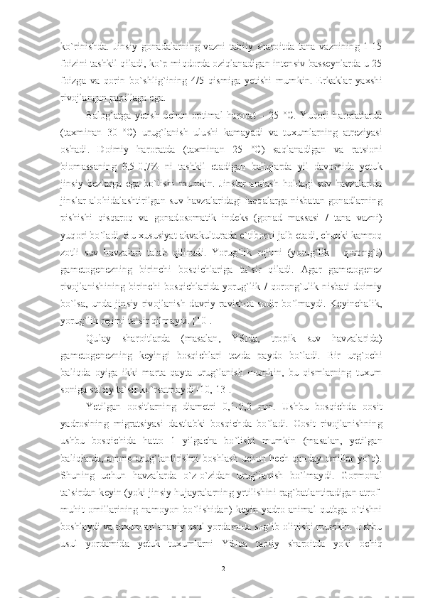 ko`rinishda.   Jinsiy   gonadalarning   vazni   tabiiy   sharoitda   tana   vaznining   1-15
foizini tashkil qiladi, ko`p miqdorda oziqlanadigan intensiv basseynlarda u 25
foizga   va   qorin   bo`shlig`ining   4/5   qismiga   yetishi   mumkin.   Erkaklar   yaxshi
rivojlangan papillaga ega. 
Balog`atga   yetish   uchun   optimal   harorat   –   25   °C.   Yuqori   haroratlarda
(taxminan   30   °C)   urug`lanish   ulushi   kamayadi   va   tuxumlarning   atreziyasi
oshadi.   Doimiy   haroratda   (taxminan   25   °C)   saqlanadigan   va   ratsioni
biomassaning   0,5-0,7%   ni   tashkil   etadigan   baliqlarda   yil   davomida   yetuk
jinsiy   bezlarga   ega   bo`lishi   mumkin.   Jinslar   aralash   holdagi   suv   havzalarida
jinslar   alohidalashtirilgan   suv   havzalaridagi   laqqalarga   nisbatan   gonadlarning
pishishi   qisqaroq   va   gonadosomatik   indeks   (gonad   massasi   /   tana   vazni)
yuqori bo`ladi. Bu xususiyat akvakulturada e`tiborni jalb etadi, chunki kamroq
zotli   suv   havzalari   talab   qilinadi.   Yorug`lik   rejimi   (yorug`lik   -   qorong`i)
gametogenezning   birinchi   bosqichlariga   ta`sir   qiladi.   Agar   gametogenez
rivojlanishining   birinchi   bosqichlarida   yorug`lik   /   qorong`ulik   nisbati   doimiy
bo`lsa,   unda   jinsiy   rivojlanish   davriy   ravishda   sodir   bo`lmaydi.   Keyinchalik,
yorug`lik rejimi ta`sir qilmaydi. [10].
Qulay   sharoitlarda   (masalan,   YSIda,   tropik   suv   havzalarida)
gametogenezning   keyingi   bosqichlari   tezda   paydo   bo`ladi.   Bir   urg`ochi
baliqda   oyiga   ikki   marta   qayta   urug`lanish   mumkin,   bu   qismlarning   tuxum
soniga salbiy ta`sir ko`rsatmaydi [10, 13]. 
Yetilgan   oositlarning   diametri   0,1-0,2   mm.   Ushbu   bosqichda   oosit
yadrosining   migratsiyasi   dastlabki   bosqichda   bo`ladi.   Oosit   rivojlanishning
ushbu   bosqichida   hatto   1   yilgacha   bo`lishi   mumkin   (masalan,   yetilgan
baliqlarda, ammo urug`lantirishni  boshlash uchun hech qanday omillar yo`q).
Shuning   uchun   havzalarda   o`z-o`zidan   urug`lanish   bo`lmaydi.   Gormonal
ta`sirdan keyin (yoki jinsiy hujayralarning yrtilishini rag`batlantiradigan atrof-
muhit   omillarining   namoyon   bo`lishidan)   keyin   yadro   animal   qutbga   o`tishni
boshlaydi va tuxum an`anaviy usul yordamida sog`ib olinishi mumkin. Ushbu
usul   yordamida   yetuk   tuxumlarni   YSIda   tabiiy   sharoitda   yoki   ochiq
12 