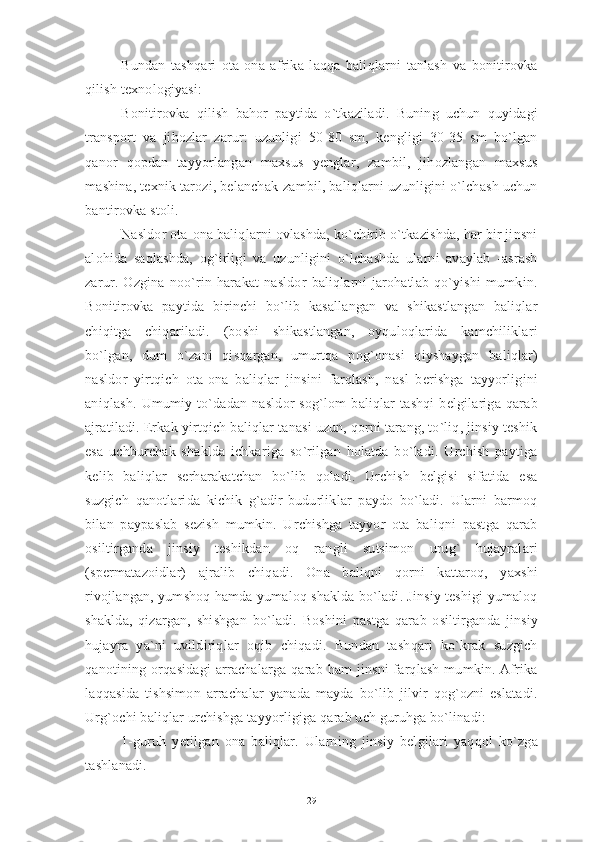 Bundan   tashqari   ota-ona   afrika   laqqa   baliqlarni   tanlash   va   bonitirovka
qilish texnоlogiyasi: 
Bonitirovka   qilish   bahor   paytida   o`tkaziladi.   Buning   uchun   quyidagi
transport   va   jihozlar   zarur:   uzunligi   50-80   sm,   kengligi   30-35   sm   bo`lgan
qanor   qopdan   tayyorlangan   maxsus   yenglar,   zambil,   jihozlangan   maxsus
mashina, texnik tarozi, belanchak-zambil, baliqlarni uzunligini o`lchash uchun
bantirovka stoli. 
Nasldor ota-ona baliqlarni ovlashda, ko`chirib o`tkazishda, har bir jinsni
alohida   saqlashda,   og`irligi   va   uzunligini   o`lchashda   ularni   avaylab   -asrash
zarur.   Ozgina   noo`rin   harakat   nasldor   baliqlarni   jarohatlab   qo`yishi   mumkin.
Bonitirovka   paytida   birinchi   bo`lib   kasallangan   va   shikastlangan   baliqlar
chiqitga   chiqariladi.   (boshi   shikastlangan,   oyquloqlarida   kamchiliklari
bo`lgan,   dum   o`zani   qisqargan,   umurtqa   pog`onasi   qiyshaygan   baliqlar)
nasldor   yirtqich   ota-ona   baliqlar   jinsini   farqlash,   nasl   berishga   tayyorligini
aniqlash.   Umumiy   to`dadan   nasldor   sog`lom   baliqlar   tashqi   belgilariga   qarab
ajratiladi. Erkak yirtqich baliqlar tanasi uzun, qorni tarang, to`liq, jinsiy teshik
esa   uchburchak   shaklda   ichkariga   so`rilgan   holatda   bo`ladi.   Urchish   paytiga
kelib   baliqlar   serharakatchan   bo`lib   qoladi.   Urchish   belgisi   sifatida   esa
suzgich   qanotlarida   kichik   g`adir-budurliklar   paydo   bo`ladi.   Ularni   barmoq
bilan   paypaslab   sezish   mumkin.   Urchishga   tayyor   ota   baliqni   pastga   qarab
osiltirganda   jinsiy   teshikdan   oq   rangli   sutsimon   urug`   hujayralari
(spermatazoidlar)   ajralib   chiqadi.   Ona   baliqni   qorni   kattaroq,   yaxshi
rivojlangan, yumshoq hamda yumaloq shaklda bo`ladi. Jinsiy teshigi yumaloq
shaklda,   qizargan,   shishgan   bo`ladi.   Boshini   pastga   qarab   osiltirganda   jinsiy
hujayra   ya`ni   uvildiriqlar   oqib   chiqadi.   Bundan   tashqari   ko`krak   suzgich
qanotining orqasidagi  arrachalarga qarab ham  jinsni  farqlash mumkin. Afrika
laqqasida   tishsimon   arrachalar   yanada   mayda   bo`lib   jilvir   qog`ozni   eslatadi.
Urg`ochi baliqlar urchishga tayyorligiga qarab uch guruhga bo`linadi: 
1-guruh   yetilgan   ona   baliqlar.   Ularning   jinsiy   belgilari   yaqqol   ko`zga
tashlanadi. 
29 