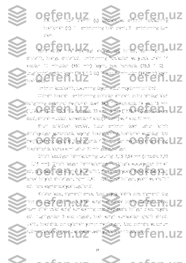 3.8.-rasm.   Dum   qismini   (a)   ajralishi   va   embrion   harakatining
boshlanishi   (b):   1   -   embrionning   bosh   qismi;   2   -   embrionning   dum
qism.
Sariq   xaltasi   nok   shaklidagi   shaklga   ega   bo`ladi,   dumining   uchi
cho`zilib,   boshga   cho`ziladi.   Embrionning   harakatlari   va   yurak   urishi   14
soatdan   10   minutdan   (850   min)   keyin,   past   haroratda   (25,5   °   C)   -
urug`lantirilganidan keyin (28,5 ° C da) 14 soat 40 minutdan (880 min) keyin
boshlanadi.
Embrion kattalashib, tuxumning deyarli butun maydonini to`ldirdi.
Oltinchi   bosqich   -   embrionning   qobiqdan   chiqishi.   qobiq   ichidagi   klari
balig`ining   embrional   rivojlanish   davri   28,5   °   C   haroratda   18   soat   15   min
(1,095 min)   dan 25,5 °  C  haroratda  22  soat   15  min  (1335  min)  gacha  davom
etadi, chiqish muddati. konvertdan 4 soat (240 min) va 4 soat 30 min.
Shuni   ta`kidlash   kerakki,   butun   embrion   davri   uchun   ko`rib
chiqilayotgan   variantlarda   keyingi   bosqichlarning   boshlanish   vaqtidagi   farq
rivojlanishning   dastlabki   bosqichlarida   4-20   min   dan   rivojlanishning   so`nggi
bosqichlarida klarias somi uchun 30 min gacha bo`lgan.
Chiqib   ketadigan   lichinkalarning   uzunligi   3,05-3,58   mm   (o`rtacha   3,32
±   0,16   mm).   Chiqib   ketgan   lichinkalarning   morfologik   xususiyatlari   bir   xil
edi;   tana  rangi  oltin sarg`ish  va  shaffof, pigmentatsiyasiz.   Sariq  xaltasi  butun
tanasi   bo`ylab   cho`zilgan,   hajmi   0,80   ±   0,31   mm3   bo`lgan,   yashil   va   shaffof
edi. Tana segmentatsiyasi tugallandi.
Ko`zlar   katta,   pigmentli   emas,   faqat   quyida   kichik   qora   pigmentli   dog
`bor   edi.   Og`iz   ochilmagan,   bosh   sarig`i   xaltachasi   tomon   burilgan.   Ovqat
hazm   qilish   trakti   sarig’   sumkasining   orqa   qismigacha   bo`lgan   qisqa   naycha
edi.   Tug`ilgandan   2   soat   o`tgach,   bosh   sarig`i   sumkasidan   ajralib   chiqdi.
Ushbu   bosqichda   qon   aylanishi   yomon   rivojlangan,   faqat   qorincha   va   atrium
rudimentlaridan iborat pulsatsiyalanuvchi yurak bilan ifodalanadi.
52 