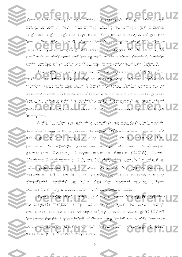 Kannibalizmni   namoyish   etgan   lichinkalar,   namoyish   qilmagan   lichinkalarga
qaraganda   tezroq   o`sdi.   Yirtqichning   kattaligi   va   uning   o`ljasi   o`rtasida
to`g`ridan-to`g`ri   bog`liqlik   qayd   etildi.   Yirtqich   unga   mavjud   bo`lgan   eng
katta   o`ljani   afzal   ko`radi.   Kannibalizm   bilan   bog`liq   yirtqichlik   olimlar
tomonidan   yuqori   darajadagi   ixtisoslashgan   strategiyasi   sifatida   qaraladi,   bu
atrof-muhitni   cheklovchi   omillarning   ma`lum   bir   to`plami   sharoitida   lichinka
sonini tartibga solish uchun zichlikka bog`liq mexanizm vazifasini bajaradi. 
Shunday   qilib,   sun`iy   sharoitda   Clarius   laqqalarining   to`liq   va   sifatli
naslini   olish   uchun   turli   yoshdagi   va   vazndagi   urg`ochilardan   foydalanish
mumkin.   Katta   baliqlarga   ustunlik   berishimiz   kerak,   ulardan   ko`proq   tuxum
olishimiz mumkin. Lichinkalarni o`stirishda kannibalizm omilini hisobga olish
kerak,   bu   uning   ta`sirini   joylashtirish   zichligini   kamaytirish   va   ovqatlanishni
yaxshilash,   shuningdek   ular   uchun   ko`plab   boshpanalarni   yaratish   orqali
kamaytiradi.
Afrika   laqqalari   suv   sathining   ko`tarilishi   va   pasttekisliklarda   toshqin
kabi   atrof-muhit   ta`siriga   javoban   ko`payadi.   Ushbu   hodisalar   baliqlarni   o`z
xohishiga   bog`liq   bo`lmaydi,   shuning   uchun   baliqlarni   ko`paytirish   faqat
gormonal   stimulyatsiya   yordamida   amalga   oshiriladi.   Ishlatiladigan
gormonlarga   Ovaprim,   Deoxycorticosterone   Acetate   (DOCA),   Human
Chorionic   Gonadotropin   (HCG),   ona   baliqlar,   oddiy   karp,   Nil   tilapiyasi   va
hatto   qurbaqalarning   gipofiz   bezlari   ishlatiladi.   Nigeriya   va   Kamerun
hukumatlari   sifatli   ona   baliqlarni   saqlash,   urug`   ishlab   chiqaruvchilarning
ehtiyojlarini   qondirish   va   baliq   chavoqlari   bozorini   nazorat   qilishni
osonlashtirish bo`yicha tadqiqotlarni qo`llab-quvvatlamoqda.
Katta   inkubatorlarda   lichinkalar   4-6   kun   davomida   sarig`lik   oqsilining
rezorbsiyasi(so`rish)dan   so`ng   darhol   sigir   miyasi   va   tuxum   sarig`i
aralashmasi bilan oziqlanadi va keyin ko`paytiriluvchi hovuzlariga 50-80 / m2
konsentratsiyasida   joylashtiriladi,   oldindan   urug`lantirilgan.   Kichik   fermerlar
ushbu   protsedura   natijasida   olingan   postlarvalarni   hovuzlarga,   to`siqlar
yordamida yirtqichlardan himoya qiladi.
54 