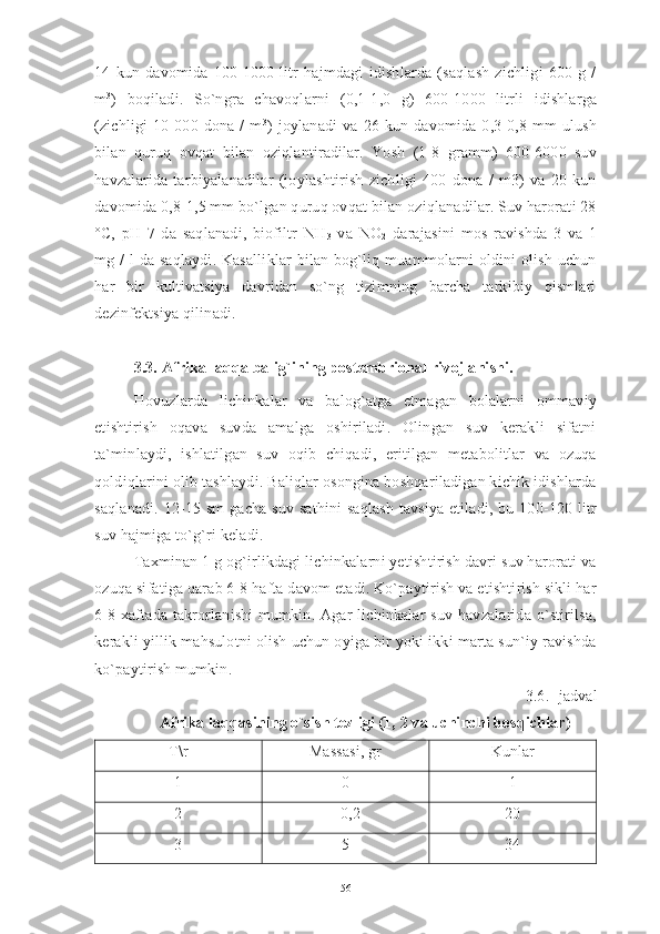 14   kun   davomida   100-1000   litr   hajmdagi   idishlarda   (saqlash   zichligi   600   g   /
m 3
)   boqiladi.   So`ngra   chavoqlarni   (0,1-1,0   g)   600-1000   litrli   idishlarga
(zichligi   10   000   dona   /   m 3
)   joylanadi   va   26   kun   davomida   0,3-0,8   mm   ulush
bilan   quruq   ovqat   bilan   oziqlantiradilar.   Yosh   (1-8   gramm)   600-6000   suv
havzalarida   tarbiyalanadilar   (joylashtirish   zichligi   400   dona   /   m3)   va   20   kun
davomida 0,8-1,5 mm bo`lgan quruq ovqat bilan oziqlanadilar. Suv harorati 28
°C,   pH   7   da   saqlanadi,   biofiltr   NH
3   va   NO
2   darajasini   mos   ravishda   3   va   1
mg /  l  da saqlaydi. Kasalliklar  bilan bog`liq muammolarni  oldini  olish uchun
har   bir   kultivatsiya   davridan   so`ng   tizimning   barcha   tarkibiy   qismlari
dezinfektsiya qilinadi.
3.3. Afrika laqqa balig`ining postembrional rivojlanishi.
Hovuzlarda   lichinkalar   va   balog`atga   etmagan   bolalarni   ommaviy
etishtirish   oqava   suvda   amalga   oshiriladi.   Olingan   suv   kerakli   sifatni
ta`minlaydi,   ishlatilgan   suv   oqib   chiqadi,   eritilgan   metabolitlar   va   ozuqa
qoldiqlarini olib tashlaydi. Baliqlar osongina boshqariladigan kichik idishlarda
saqlanadi.  12-15 sm  gacha suv  sathini  saqlash  tavsiya  etiladi, bu 100-120 litr
suv hajmiga to`g`ri keladi.
Taxminan 1 g og`irlikdagi lichinkalarni yetishtirish davri suv harorati va
ozuqa sifatiga qarab 6-8 hafta davom etadi. Ko`paytirish va etishtirish sikli har
6-8 xaftada takrorlanishi  mumkin. Agar  lichinkalar  suv havzalarida  o`stirilsa,
kerakli yillik mahsulotni olish uchun oyiga bir yoki ikki marta sun`iy ravishda
ko`paytirish mumkin.
3.6.- jadval 
Afrika laqqasining o`sish tezligi (1, 2 va uchinchi bosqichlar)
T\r Massasi, gr Kunlar 
1 0 1
2                   0,2 20
3 5 34
56 