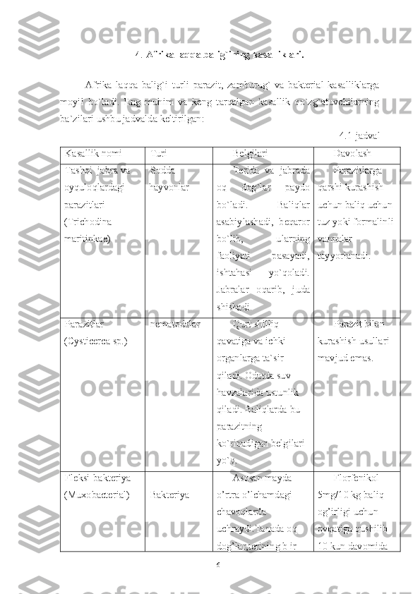 4 .  Afrika laqqa balig`ining kasalliklari.
Afrika   laqqa   balig`i   turli   parazit,   zamburug`   va   bakterial   kasalliklarga
moyil   bo`ladi.   Eng   muhim   va   keng   tarqalgan   kasallik   qo`zg`atuvchilarning
ba`zilari ushbu jadvalda keltirilgan:
  4.1-jadval
Kasallik nomi Turi Belgilari Davolash
Tashqi  jabra va 
oyquloqlardagi 
parazitlari  
(Trichodina 
maritinkae) Sodda  
hayvonlar Terida   va   jabrada
oq   dog`lar   paydo
bo`ladi.   Baliqlar
asabiylashadi,   beqaror
bo`lib,   ularning
faoliyati   pasayadi,
ishtahasi   yo`qoladi.
Jabra lar   oqarib,   juda
shishadi. Parazitlarga 
qarshi kurashish 
uchun baliq uchun 
tuz yoki formalinli 
vannalar 
tayyorlanadi.
Parazitlar 
(Cysticerca sp.) nematodalar Qurt shilliq 
qavatiga va ichki 
organlarga ta`sir 
qiladi. Odatda suv 
havzalarida ustunlik 
qiladi.  Baliqlarda bu 
parazitning 
ko`rinadigan belgilari 
yo`q. Parazit bilan 
kurashish usullari 
mavjud emas.
Fleksi-bakteriya 
(Muxobacterial) Bakteriya Asosan mayda 
o’rtra o’lchamdagi 
chavoqlarda 
uchraydi.Tanada oq 
dog’lar,terining b ir  Florfenikol 
5mg/10 kg baliq 
og’irligi uchun 
ovqatiga qushilib 
10 kun davomida 
61 