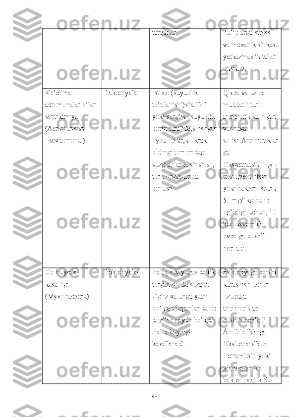 tarqaladi .  Baliqlarga   stress  
va   mexanik   shikast
yetkazmaslik   talab  
qilinadi .  
Ko’chma 
aeromonalar bilan 
septikimiya 
(Aeromans sp 
Psevdomona.) bakteriyalar Istisqo(suyuqlik 
to’planishi)shaffof 
yoki sarg’ish suyuqlik 
qorin tarafida,shishgan
oyquloqlar,ko’krak 
oldingi tomonidagi 
suzgichlarda shishish, 
turli organlarida 
qonash Qisqa va uzoq 
muddatli turli 
antibiotik solingan 
vannaga 
solish.Antibiotiklar
ga 
Oksitetratsiklin,xlo
rosid,neomitsin 
yoki bakteriostatik 
50 mg/1kg baliq 
og’irligi uchun, 10 
kun davomida 
ovqatga qushib 
beriladi.
Oq buyrak 
kasalligi  
(Myxobacteria) bakteriyalar Baliq suv yuzasida tik 
turgan holda suzadi. 
Og’iz va unga yaqin 
bo’lgan organlarida oq
dog’lar paydo bo’ladi. 
Baliq buyragi 
kasallanadi. Bakteriyaga qarshi 
kurashish uchun 
ozuqaga 
antibiotiklar 
qushib beriladi .  
Antibiotiklarga 
Oksitetratsiklin 
Terramitsin yoki 
xloramfenikol 
bakteriostatik 50 
63 
