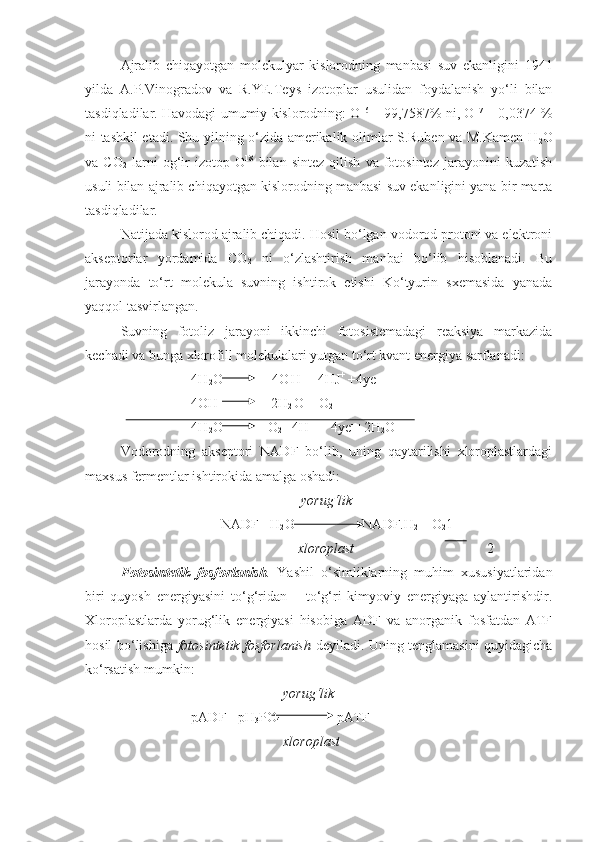 Ajralib   chiqayotgan   molekulyar   kislorodning   manbasi   suv   ekanligini   1941
yilda   A.P.Vinogradov   va   R.YE.Teys   izotoplar   usulidan   foydalanish   yo‘li   bilan
tasdiqladilar. Havodagi umumiy kislorodning: O 16
 – 99,7587% ni, O 17
 – 0,0374 %
ni tashkil etadi. Shu yilning o‘zida amerikalik olimlar S.Ruben va M.Kamen H
2 O
va   CO
2   larni   og‘ir   izotop   O 18
  bilan   sintez   qilish   va   fotosintez   jarayonini   kuzatish
usuli bilan ajralib chiqayotgan kislorodning manbasi suv ekanligini yana bir marta
tasdiqladilar.
Natijada kislorod ajralib chiqadi. Hosil bo‘lgan vodorod protoni va elektroni
akseptorlar   yordamida   CO
2   ni   o‘zlashtirish   manbai   bo‘lib   hisoblanadi.   Bu
jarayonda   to‘rt   molekula   suvning   ishtirok   etishi   Ko‘tyurin   sxemasida   yanada
yaqqol tasvirlangan.
Suvning   fotoliz   jarayoni   ikkinchi   fotosistemadagi   reaksiya   markazida
kechadi va bunga xlorofill molekulalari yutgan to‘rt kvant energiya sarflanadi:
4H
2 O              4O
  H 
  + 4HJ +
 +4ye -
4OH               2H
2  O + O
2
4H
2 O             O
2  +4H
  +
 + 4ye - 
+2H
2 O
Vodorodning   akseptori   NADF   bo‘lib,   uning   qaytarilishi   xloroplastlardagi
maxsus fermentlar ishtirokida amalga oshadi:
     yorug‘lik
NADF +H
2 O      NADF. H
2  + O
2 1
   xloroplast                                   2
Fotosintetik   fosforlanish .   Yashil   o‘simliklarning   muhim   xususiyatlaridan
biri   quyosh   energiyasini   to‘g‘ridan   –   to‘g‘ri   kimyoviy   energiyaga   aylantirishdir.
Xloroplastlarda   yorug‘lik   energiyasi   hisobiga   ADF   va   anorganik   fosfatdan   ATF
hosil bo‘lishiga   fotosintetik fosforlanish   deyiladi. Uning tenglamasini quyidagicha
ko‘rsatish mumkin:
      yorug‘lik
pADF +pH
3 PO
4    pATF
       xloroplast 