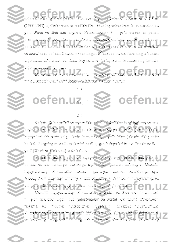 uglerodli ekanligini aniqladilar. Buni avstraliyalik olimlar M.D.Xetch va K.R.Slek
(1966-1969) tajribalar asosida tasdikladilar. Shuning uchun ham fotosintezning bu
yo‘li   Xetch   va   Slek   sikli   deyiladi.   Fotosintezning   S
4   –   yo‘li   asosan   bir   pallali
o‘simliklarda   (makkajo‘xori,   oq   jo‘xori,   shakarqamish,   tariq   va   boshqalar)   sodir
bo‘ladi.  Bu   o‘simliklarda  fotosintezning  dastlabki  mahsuloti  sifatida   oksaloasetat
va malat  hosil bo‘ladi. Chunki nishonlangan S 14  
dastlab bu kislotalarning to‘rtinchi
uglerodida   to‘planadi   va   faqat   keyinchalik   fosfogliserin   kislotasining   birinchi
uglerodida paydo bo‘ladi.  
M.D.Xetch,   K.R.Slek   va   boshqa   olimlarning   ko‘rsatishicha   bu   siklda   CO
2
ning akseptorlik vazifasini  fosfoyenolpiruvat  kislotasi bajaradi:
                                CH
2
                                                       |
     
                       CO P
                           |
                       COOH
Ko‘pchilik bir pallali va ayrim ikki pallali o‘simliklar bargidagi nay va tola
boylamlari   atrofida   bir   qator   xloroplastlarga   ega   hujayralar   bo‘lib   (ular   obkladka
hujayralari   deb   yuritiladi),   ularda   fotosintez   S
3   –   yo‘li   bilan   (Kalvin   sikli)   sodir
bo‘ladi.   Bargning mezofill qatlamini hosil qilgan hujayralarida esa fotosintez S
4   –
yo‘li (Xetch va Slek sikli) sodir bo‘ladi.
Bu o‘simliklarning obkladka hujayralarida joylashgan xloroplastlar yirikroq
bo‘ladi   va   ular   lamellyar   tuzilishga   ega   bo‘lib,   granalari   bo‘lmaydi.   Mezofill
hujayralardagi   xloroplastlar   asosan   granulyar   tuzilish   xarakteriga   ega.
Makkajo‘xori   bargidagi   umumiy   xloroplastlarning   80%   mezofill   hujayralariga   va
qolgan 20 % obkladka hujayralari xloroplastlariga to‘g‘ri keladi.
Mezofill   hujayralaridagi   xloroplastlarda   Xetch   va   Slek   sikli   bilan   hosil
bo‘lgan   dastlabki   uglevodlar   ( oksaloasetat   va   malat   kislotalari)   o‘tkazuvchi
naylarga   va   obkladka   hujayralariga   o‘tkazaladi.   Obkladka   hujayralaridagi
xloroplastlarga o‘tgan to‘rt  uglerodli birikmalar yana Kalvin siklida ishtirok etadi
va   kraxmalga   o‘zgaradi.   Shuning   uchun   ham   bu   xloroplastlarda   kraxmalning 