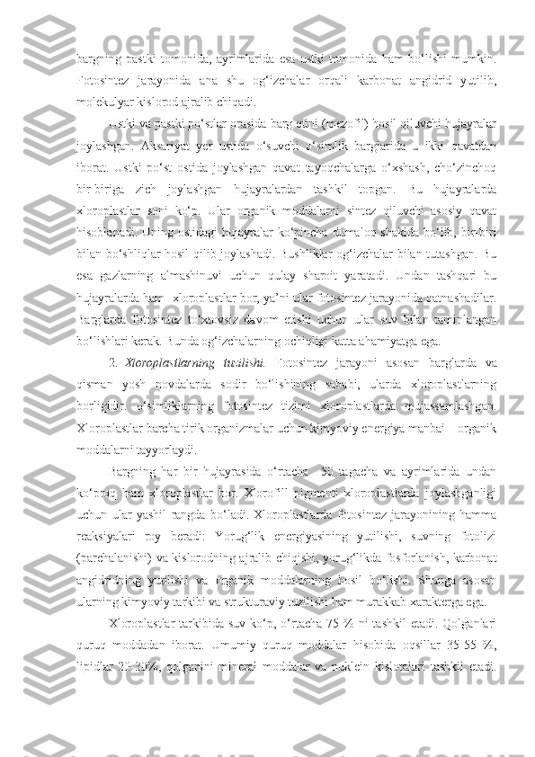 bargning   pastki   tomonida,   ayrimlarida   esa   ustki   tomonida   ham   bo‘lishi   mumkin.
Fotosintez   jarayonida   ana   shu   og‘izchalar   orqali   karbonat   angidrid   yutilib,
molekulyar kislorod ajralib chiqadi.
Ustki va pastki po‘stlar orasida barg etini (mezofil) hosil qiluvchi hujayralar
joylashgan.   Aksariyat   yer   ustida   o‘suvchi   o‘simlik   barglarida   u   ikki   qavatdan
iborat.   Ustki   po‘st   ostida   joylashgan   qavat   tayoqchalarga   o‘xshash,   cho‘zinchoq
bir-biriga   zich   joylashgan   hujayralardan   tashkil   topgan.   Bu   hujayralarda
xloroplastlar   soni   ko‘p.   Ular   organik   moddalarni   sintez   qiluvchi   asosiy   qavat
hisoblanadi. Uning ostidagi  hujayralar  ko‘pincha dumaloq shaklda  bo‘lib, bir-biri
bilan bo‘shliqlar hosil  qilib joylashadi. Bushliklar og‘izchalar bilan tutashgan. Bu
esa   gazlarning   almashinuvi   uchun   qulay   sharoit   yaratadi.   Undan   tashqari   bu
hujayralarda ham  xloroplastlar bor, ya’ni ular fotosintez jarayonida qatnashadilar.
Barglarda   fotosintez   to‘xtovsiz   davom   etishi   uchun   ular   suv   bilan   taminlangan
bo‘lishlari kerak. Bunda og‘izchalarning ochiqligi katta ahamiyatga ega.
2. Xloroplastlarning   tuzilishi.   Fotosintez   jarayoni   asosan   barglarda   va
qisman   yosh   novdalarda   sodir   bo‘lishining   sababi,   ularda   xloroplastlarning
borligidir.   o‘simliklarning   fotosintez   tizimi   xloroplastlarda   mujassamlashgan.
Xloroplastlar barcha tirik organizmalar uchun kimyoviy energiya manbai – organik
moddalarni tayyorlaydi.  
Bargning   har   bir   hujayrasida   o‘rtacha     50   tagacha   va   ayrimlarida   undan
ko‘proq   ham   xloroplastlar   bor.   Xlorofill   pigmenti   xloroplastlarda   joylashganligi
uchun   ular   yashil   rangda   bo‘ladi.   Xloroplastlarda   fotosintez   jarayonining   hamma
reaksiyalari   roy   beradi:   Yorug‘lik   energiyasining   yutilishi,   suvning   fotolizi
(parchalanishi) va kislorodning ajralib chiqishi, yorug‘likda fosforlanish, karbonat
angidridning   yutilishi   va   organik   moddalarning   hosil   bo‘lishi.   Shunga   asosan
ularning kimyoviy tarkibi va strukturaviy tuzilishi ham murakkab xarakterga ega. 
Xloroplastlar  tarkibida suv  ko‘p, o‘rtacha  75  %  ni  tashkil  etadi.  Qolganlari
quruq   moddadan   iborat.   Umumiy   quruq   moddalar   hisobida   oqsillar   35-55   %,
lipidlar   20-30%,   qolganini   mineral   moddalar   va   nuklein   kislotalari   tashkil   etadi. 