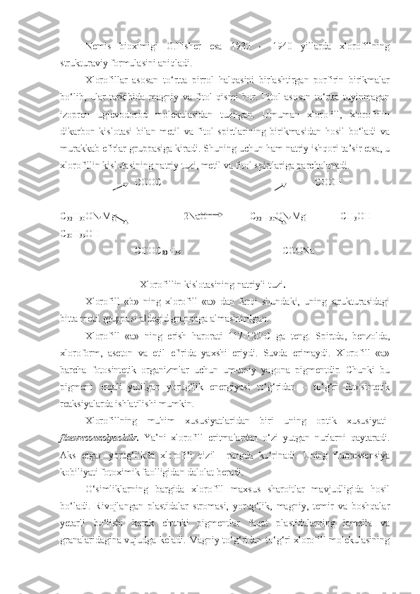 Nemis   bioximigi   G.Fisher   esa   1930   –   1940   yillarda   xlorofillning
strukturaviy formulasini aniqladi.
Xlorofillar   asosan   to‘rtta   pirrol   halqasini   birlashtirgan   porfirin   birikmalar
bo‘lib,   ular   tarkibida   magniy   va   fitol   qismi   bor.   Fitol   asosan   to‘rtta   tuyinmagan
izopren   uglevodorod   molekulasidan   tuzilgan.   Umuman   xlorofill,   xlorofillin
dikarbon   kislotasi   bilan   metil   va   fitol   spirtlarining   birikmasidan   hosil   bo‘ladi   va
murakkab efirlar gruppasiga kiradi. Shuning uchun ham natriy ishqori ta’sir etsa, u
xlorofillin kislotasining natriy tuzi, metil va fitol spirtlariga parchalanadi.
                    COOC                COOH     
C
32 H
30 ON
4 Mg                        + 2NaOH       C
32 H
30 ON
4 Mg +CH
3 OH   +
C
20 H
39 OH                     
                    COOC
20 H
39                                   COONa
                      Xlorofillin kislotasining natriyli tuzi .
Xlorofill   «b»   ning   xlorofill   «a»   dan   farqi   shundaki,   uning   strukturasidagi
bitta metil gruppasi aldegid gruppaga almashtirilgan.
Xlorofill   «a»   ning   erish   harorati   117-120 o
C   ga   teng.   Spirtda,   benzolda,
xloroform,   aseton   va   etil   efirida   yaxshi   eriydi.   Suvda   erimaydi.   Xlorofill   «a»
barcha   fotosintetik   organizmlar   uchun   umumiy   yagona   pigmentdir.   Chunki   bu
pigment   orqali   yutilgan   yorug‘lik   energiyasi   to‘g‘ridan   –   to‘g‘ri   fotosintetik
reaksiyalarda ishlatilishi mumkin. 
Xlorofillning   muhim   xususiyatlaridan   biri   uning   optik   xususiyati-
fluoressensiyasidir .   Ya’ni   xlorofill   eritmalardan   o‘zi   yutgan   nurlarni   qaytaradi.
Aks   etgan   yorug‘likda   xlorofill   qizil     rangda   ko‘rinadi.   Uning   fluoressensiya
kobiliyati fotoximik faolligidan dalolat beradi. 
O‘simliklarning   bargida   xlorofill   maxsus   sharoitlar   mavjudligida   hosil
bo‘ladi.   Rivojlangan   plastidalar   stromasi,   yorug‘lik,   magniy,   temir   va   boshqalar
yetarli   bo‘lishi   kerak   chunki   pigmentlar   faqat   plastidalarning   lamella   va
granalaridagina vujudga keladi. Magniy to‘g‘ridan-to‘g‘ri xlorofill molekulasining 