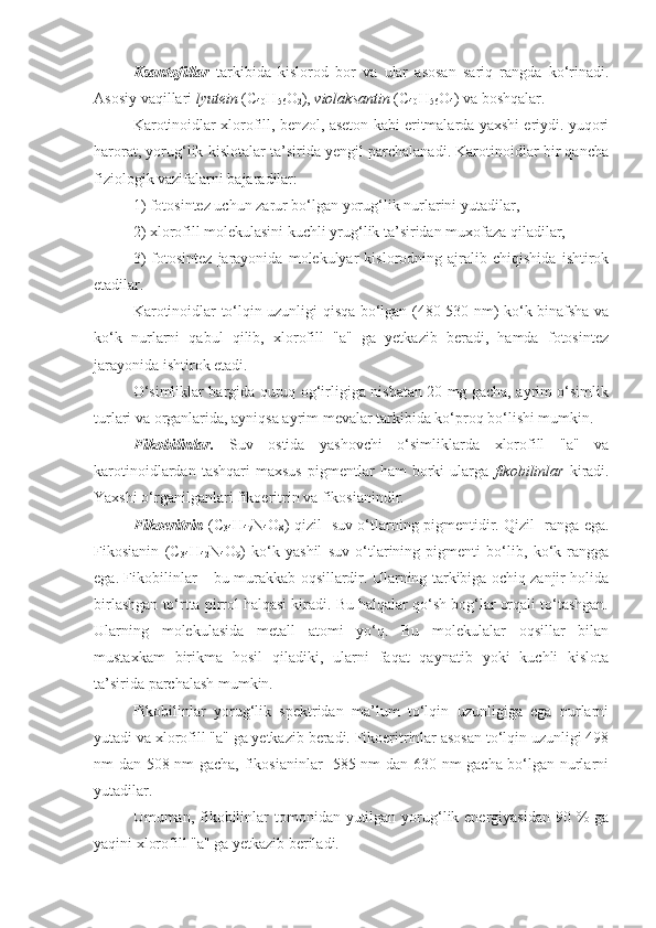 Ksantofillar   tarkibida   kislorod   bor   va   ular   asosan   sariq   rangda   ko‘rinadi.
Asosiy vaqillari  lyutein  (C
40 H
56 O
2 ),  violaksantin  (C
40 H
56 O
4 ) va boshqalar.
Karotinoidlar xlorofill, benzol, aseton kabi eritmalarda yaxshi eriydi. yuqori
harorat, yorug‘lik kislotalar ta’sirida yengil parchalanadi. Karotinoidlar bir qancha
fiziologik vazifalarni bajaradilar:
1) fotosintez uchun zarur bo‘lgan yorug‘lik nurlarini yutadilar,
2) xlorofill molekulasini kuchli yrug‘lik ta’siridan muxofaza qiladilar, 
3)   fotosintez   jarayonida   molekulyar   kislorodning   ajralib   chiqishida   ishtirok
etadilar.
Karotinoidlar to‘lqin uzunligi qisqa bo‘lgan (480-530 nm) ko‘k-binafsha va
ko‘k   nurlarni   qabul   qilib,   xlorofill   "a"   ga   yetkazib   beradi,   hamda   fotosintez
jarayonida ishtirok etadi.
O‘simliklar bargida quruq og‘irligiga nisbatan 20 mg gacha, ayrim o‘simlik
turlari va organlarida, ayniqsa ayrim mevalar tarkibida ko‘proq bo‘lishi mumkin.
Fikobilinlar.   Suv   ostida   yashovchi   o‘simliklarda   xlorofill   "a"   va
karotinoidlardan   tashqari   maxsus   pigmentlar   ham   borki   ularga   fikobilinlar   kiradi.
Yaxshi o‘rganilganlari fikoeritrin va fikosianindir.
Fikoeritrin   (C
34 H
47 N
4 O
8 )-qizil   suv o‘tlarning pigmentidir. Qizil   ranga ega.
Fikosianin   (C
34 H
42 N
4 O
9 )   ko‘k   yashil   suv   o‘tlarining   pigmenti   bo‘lib,   ko‘k   rangga
ega. Fikobilinlar – bu murakkab oqsillardir. Ularning tarkibiga ochiq zanjir holida
birlashgan to‘rtta pirrol halqasi kiradi. Bu halqalar qo‘sh bog‘lar orqali to‘tashgan.
Ularning   molekulasida   metall   atomi   yo‘q.   Bu   molekulalar   oqsillar   bilan
mustaxkam   birikma   hosil   qiladiki,   ularni   faqat   qaynatib   yoki   kuchli   kislota
ta’sirida parchalash mumkin.
Fikobilinlar   yorug‘lik   spektridan   ma’lum   to‘lqin   uzunligiga   ega   nurlarni
yutadi va xlorofill "a" ga yetkazib beradi. Fikoeritrinlar asosan to‘lqin uzunligi 498
nm dan 508 nm gacha, fikosianinlar -585 nm dan 630 nm gacha bo‘lgan nurlarni
yutadilar.
Umuman, fikobilinlar  tomonidan yutilgan  yorug‘lik energiyasidan  90 %  ga
yaqini xlorofill "a" ga yetkazib beriladi. 