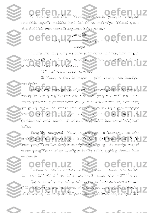 4. Fotosintez   bosqichlari.   Yashil   o‘simliklarda   yorug‘lik   energiyasi
ishtirokida   organik   moddalar   hosil   bo‘lishi   va   molekulyar   kislorod   ajralib
chiqishini   ifodalovchi   sxematik   tenglamani   ko‘rsatgan   edik .
yorug‘lik
6CO
2  +12H
2 O              C
6 H
12 O
6 +6H
2 O+6O
2 ;
xlorofill
Bu   tenglama   oddiy   kimyoviy   reaksiya   tenglamasi   bo‘lmay,   balki   minglab
reaksiyalar   yig‘indisini   ifodalovchi   xarakterga   ega.   Barcha   reaksiyalar   yig‘indisi
asosan ikkita bosqichni o‘z ichiga oladi: 
1) Yorug‘likda boradigan reaksiyalar, 
2)   Yorug‘lik   shart   bo‘lmagan   –   ya’ni   qorong‘ilikda   boradigan
reaksiyalar.
Yorug‘likda   boradigan reaksiyalar . Fotosintezning birinchi bosqichidagi
reaksiyalar   faqat   yorug‘lik   ishtirokida   boradi.   Bu   jarayon   xlorofill   «a»   -   ning
boshqa yordamchi pigmentlar ishtirokida (xlorofill «b» karotinoidlar, fikobilinlar)
yorug‘lik yutishi va o‘zlashtirishidan boshlanadi. Natijada suv yorug‘lik energiyasi
ta’sirida   parchalanib,   molekulyar   kislorod   ajralib   chiqadi,   NADF.   N
2
(digidronikotinamid – adenin – dinukleotid fosfat) va ATF (adenozintrifosfat) hosil
bo‘ladi.
Yorug‘lik   energiyasi .   Yorug‘lik   energiyasi   elektromagnit   tebranish
xarakteriga ega. U faqat kvantlar yoki fotonlar holida ajraladi va tarqaladi. Har bir
kvant   yorug‘lik   ma’lum   darajada   energiya   manbasiga   ega.   Bu   energiya   miqdori
asosan   yorug‘likning   to‘lqin   uzunligiga   bog‘liq   bo‘lib,   quyidagi   formula   bilan
aniqlanadi:
E=hs
Bu yerda E – kvant energiyasi, joul (kj) hisobida, h – yorug‘lik konstantasi,
doimiy son 6,26196*10  –34 
 j/s, - to‘lqin uzunligi, S – yorug‘lik tezligi 3*10 10
 sm/s.
Quyosh   yorug‘ligining   ko‘zga   ko‘rinadigan   va   fotosintetik   aktiv   qismidagi
(400   –   750   nm)   nurlarda   har   bir   kvantning   energiyasi   turlicha   bo‘ladi.   Masalan,
to‘lqin uzunligi 400 nm ga teng bo‘lgan spektrning bir kvantining energiyasi 299, 