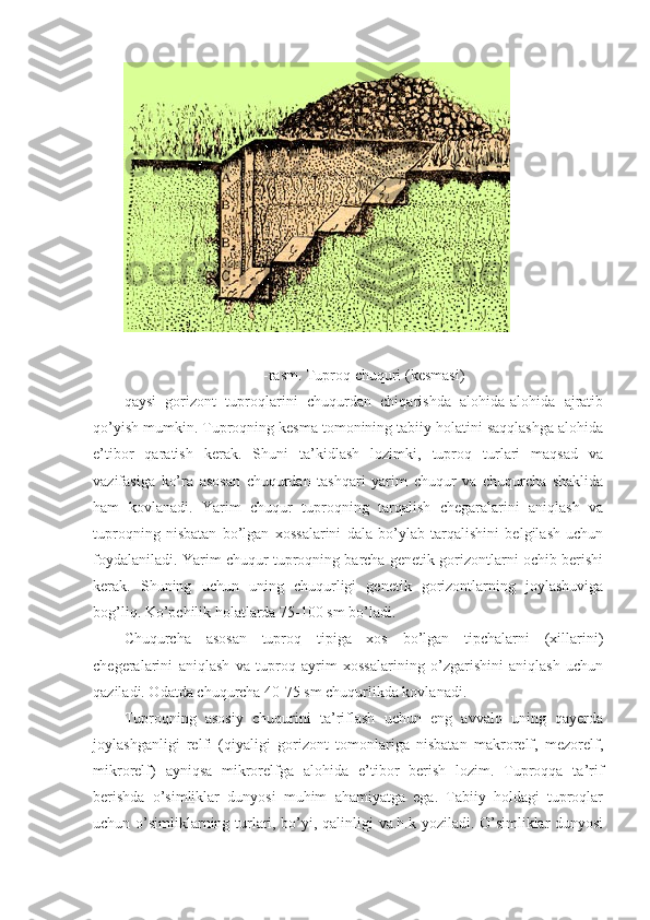 -rasm. Tuproq chuquri (kesmasi)
qaysi   gorizont   tuproqlarini   chuqurdan   chiqarishda   alohida-alohida   ajratib
qo’yish mumkin. Tuproqning kesma tomonining tabiiy holatini saqqlashga alohida
e’tibor   qaratish   kerak.   Shuni   ta’kidlash   lozimki,   tuproq   turlari   maqsad   va
vazifasiga   ko’ra   asosan   chuqurdan   tashqari   yarim   chuqur   va   chuqurcha   shaklida
ham   kovlanadi.   Yarim   chuqur   tuproqning   tarqalish   chegaralarini   aniqlash   va
tuproqning   nisbatan   bo’lgan   xossalarini   dala   bo’ylab   tarqalishini   belgilash   uchun
foydalaniladi. Yarim chuqur tuproqning barcha genetik gorizontlarni ochib berishi
kerak.   Shuning   uchun   uning   chuqurligi   genetik   gorizontlarning   joylashuviga
bog’liq. Ko’pchilik holatlarda 75-100 sm bo’ladi. 
Chuqurcha   asosan   tuproq   tipiga   xos   bo’lgan   tipchalarni   (xillarini)
chegeralarini   aniqlash   va   tuproq   ayrim   xossalarining   o’zgarishini   aniqlash   uchun
qaziladi. Odatda chuqurcha 40-75 sm chuqurlikda kovlanadi.
Tuproqning   asosiy   chuqurini   ta’riflash   uchun   eng   avvalo   uning   qayerda
joylashganligi   relfi   (qiyaligi   gorizont   tomonlariga   nisbatan   makrorelf,   mezorelf,
mikrorelf)   ayniqsa   mikrorelfga   alohida   e’tibor   berish   lozim.   Tuproqqa   ta’rif
berishda   o’simliklar   dunyosi   muhim   ahamiyatga   ega.   Tabiiy   holdagi   tuproqlar
uchun o’simliklarning turlari, bo’yi, qalinligi va.h.k yoziladi. O’simliklar dunyosi 