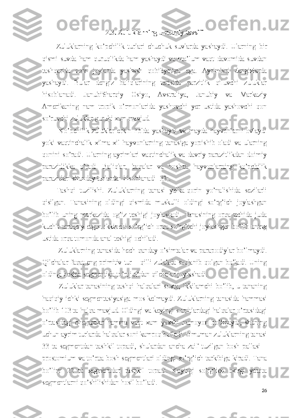 2.3. Zuluklarning umumiy tavsifi
Zuluklarning   ko’pchilik   turlari   chuchuk   suvlarda   yashaydi.   Ularning   bir
qismi   suvda   ham   quruqlikda   ham   yashaydi   va   ma’lum   vaqt   davomida   suvdan
tashqarida   nam   joylarda   yashash   qobiliyatiga   ega.   Ayrimlari   dengizlarda
yashaydi.   Bular   dengiz   baliqlarining   terisida   parzitlik   qiluvchi   zuluklar
hisoblanadi.   JanubiSharqiy   Osiyo,   Avstraliya,   Janubiy   va   Markaziy
Amerikaning   nam   tropik   o’rmonlarida   yashovchi   yer   ustida   yashovchi   qon
so’ruvchi zuluklar guruhi xam mavjud. 
  Ko’pchilik   zuluklar   erkin   holda   yashaydi   va   mayda   hayvonlarni   ovlaydi
yoki   vaqtinchalik   xilma-xil   hayvonlarning   tanasiga   yopishib   oladi   va   ularning
qonini   so’radi.   Ularning   ayrimlari   vaqtinchalik   va   davriy   parazitlikdan   doimiy
parazitlikka   o’tadi.   Baliqlar,   baqalar   va   boshqa   hayvonlarning   ko’pchilik
parazitlari shunday turlardan hisoblanadi  [32].   
Tashqi   tuzilishi.   Zuluklarning   tanasi   yelka-qorin   yo’nalishida   sezilarli
qisilgan.   Tanasining   oldingi   qismida   muskulli   oldingi   so’rg’ich   joylashgan
bo’lib   uning   markazida   og’iz   teshigi   joylashadi.   Tanasining   orqa   uchida   juda
kuchli taraqqiy etgan ikkinchi so’rg’ich orqa so’rg’ichi joylashgan bo’lib uning
ustida orqa tomonda anal teshigi ochiladi. 
  Zuluklarning tanasida hech qanday o’simtalar va parapodiylar bo’lmaydi.
Qilchalar   faqat   eng  primitiv   tur   –  qilli   zulukda  saqlanib   qolgan   bo’ladi.  Uning
oldingi beshta segmentida to’rt juftdan qilchalar joylashadi.  
  Zuluklar   tanasining   tashqi   halqalari   soxta,   ikkilamchi   bo’lib,   u   tananing
haqiqiy   ichki   segmentasiyasiga   mos   kelmaydi.   Zuluklarning   tanasida   hammasi
bo’lib 103 ta halqa mavjud. Oldingi va keyingi somitlardagi halqalar o’rtasidagi
o’rtasidagi   chegaralar   hamma   vaqt   xam   yaxshi   namoyon   bo’lmaydi,   shuning
uchun ayrim turlarda halqalar soni kamroq bo’ladi. Umuman zuluklarning tanasi
33   ta   segmentdan   tashkil   topadi,   shulardan   ancha   zaif   tuzilgan   bosh   pallasi   –
prostomium  va to’rtta bosh segmentlari  oldingi so’rg’ich tarkibiga kiradi. Tana
bo’limi   22   ta   segmentdan   tashkil   topadi.   Keyingi   so’rg’ich   oxirgi   yettita
segmentlarni qo’shilishidan hosil bo’ladi. 
26 