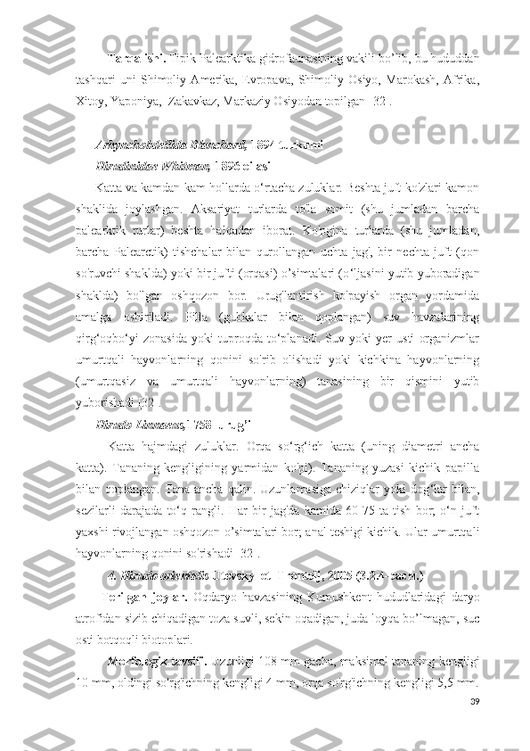 Tarqalishi.   Tipik Palearktika gidrofaunasining vakili  bo’lib,  bu hududdan
tashqari   uni   Shimoliy   Amerika,   Evropava,   Shimoliy   Osiyo,   Marokash,   Afrika,
Xitoy, Yaponiya,  Zakavkaz, Markaziy Osiyodan topilgan  [32] .
Arhynchobdellida Blanchard,  1894 turkumi
Hirudinidae Whitman,  1896 oilasi
Katta va kamdan-kam hollarda o‘rtacha zuluklar. Beshta juft ko'zlari kamon
shaklida   joylashgan.   Aksariyat   turlarda   to'la   somit   (shu   jumladan   barcha
palearktik   turlar)   beshta   halqadan   iborat.   Ko'pgina   turlarda   (shu   jumladan,
barcha   Palearctik)   tishchalar   bilan   qurollangan   uchta   jag',   bir   nechta   juft   (qon
so'ruvchi shaklda) yoki bir jufti (orqasi) o’simtalari (o ‘ ljasini yutib yuboradigan
shaklda)   bo'lgan   oshqozon   bor.   Urug'lantirish   ko'payish   organ   yordamida
amalga   oshiriladi.   Pilla   (gubkalar   bilan   qoplangan)   suv   havzalarining
qirg‘oqbo‘yi   zonasida   yoki   tuproqda   to‘planadi.   Suv   yoki   yer   usti   organizmlar
umurtqali   hayvonlarning   qonini   so'rib   olishadi   yoki   kichkina   hayvonlarning
(umurtqasiz   va   umurtqali   hayvonlarning)   tanasining   bir   qismini   yutib
yuborishadi  [ 32 ].
Hirudo Linnaeus, 1758  urug’i
Katta   hajmdagi   zuluklar.   Orqa   so ‘ rg ‘ ich   katta   (uning   diametri   ancha
katta).   Tananing   kengligining   yarmidan   ko'pi).   Tananing   yuzasi   kichik   papilla
bilan  qoplangan.   Tana  ancha   qalin.   Uzunlamasiga   chiziqlar   yoki   dog ‘ lar   bilan ,
sezilarli   darajada   to‘q   rang li .   Har   bir   jag'da   kamida   60-75   ta   tish   bor;   o‘n   juft
yaxshi rivojlangan oshqozon  o’simtalari bor ; anal teshigi kichik. Ular umurtqali
hayvonlarning qonini so'rishadi  [ 32] .  
4.   Hirudo orientalis  Utevsky  et  Trontelj, 2005  ( 3.2.4 -расм.)
Terilgan   joylar.   Oqdaryo   havzasining   Kumushkent   hududlaridagi   daryo
atrofidan sizib chiqadigan toza suvli, sekin oqadigan, juda loyqa bo’lmagan, suc
osti botqoqli biotoplari.
Morfologik tavsifi.  Uzunligi 108 mm gacha, maksimal tananing kengligi
10 mm, oldingi so'rg'ichning kengligi 4 mm, orqa so'rg'ichning kengligi 5,5 mm.
39 