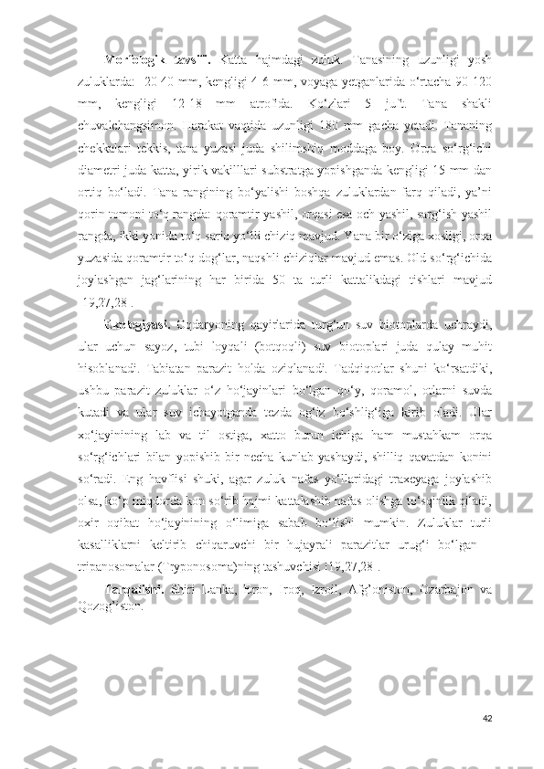 Morfologik   tavsifi.   Katta   hajmdagi   zuluk.   Tanasining   uzunligi   yosh
zuluklarda:   20-40 mm, kengligi 4-6 mm, voyaga yetganlarida o‘rtacha 90-120
mm,   kengligi   12-18   mm   atrofida.   Ko‘zlari   5   juft.   Tana   shakli
chuvalchangsimon.   Harakat   vaqtida   uzunligi   180   mm   gacha   yetadi.   Tananing
chekkalari   tekkis,   tana   yuzasi   juda   shilimshiq   moddaga   boy.   Orqa   so‘rg‘ichi
diametri juda katta, yirik vakilllari substratga yopishganda kengligi 15 mm dan
ortiq   bo‘ladi.   Tana   rangining   bo‘yalishi   boshqa   zuluklardan   farq   qiladi,   ya’ni
qorin tomoni to‘q rangda: qoramtir-yashil, orqasi esa och-yashil, sarg‘ish-yashil
rangda, ikki yonida to‘q sariq yo‘lli chiziq mavjud. Yana bir o‘ziga xosligi, orqa
yuzasida qoramtir to‘q dog‘lar, naqshli chiziqlar mavjud emas. Old so‘rg‘ichida
joylashgan   jag‘larining   har   birida   50   ta   turli   kattalikdagi   tishlari   mavjud
[19,27,28].
Ekologiyasi.   Oqdaryoning   qayirlarida   turg‘un   suv   biotoplarda   uchraydi,
ular   uchun   sayoz,   tubi   loyqali   (botqoqli)   suv   biotoplari   juda   qulay   muhit
hisoblanadi.   Tabiatan   parazit   holda   oziqlanadi.   Tadqiqotlar   shuni   ko‘rsatdiki,
ushbu   parazit   zuluklar   o‘z   ho‘jayinlari   bo‘lgan   qo‘y,   qoramol,   otlarni   suvda
kutadi   va   ular   suv   ichayotganda   tezda   og‘iz   bo‘shlig‘iga   kirib   oladi.   Ular
xo‘jayinining   lab   va   til   ostiga,   xatto   burun   ichiga   ham   mustahkam   orqa
so‘rg‘ichlari   bilan   yopishib   bir   necha   kunlab   yashaydi,   shilliq   qavatdan   konini
so‘radi.   Eng   havflisi   shuki,   agar   zuluk   nafas   yo‘llaridagi   traxeyaga   joylashib
olsa, ko‘p miqdorda kon so‘rib hajmi kattalashib nafas olishga to‘sqinlik qiladi,
oxir   oqibat   ho‘jayinining   o‘limiga   sabab   bo‘lishi   mumkin.   Zuluklar   turli
kasalliklarni   keltirib   chiqaruvchi   bir   hujayrali   parazitlar   urug‘i   bo‘lgan   –
tripanosomalar (Tryponosoma)ning tashuvchisi  [19,27,28].  
Tarqalishi.   Shiri   Lanka,   Eron,   Iroq,   Izroil,   Afg’oniston,   Ozarbajon   va
Qozog’iston.
42 