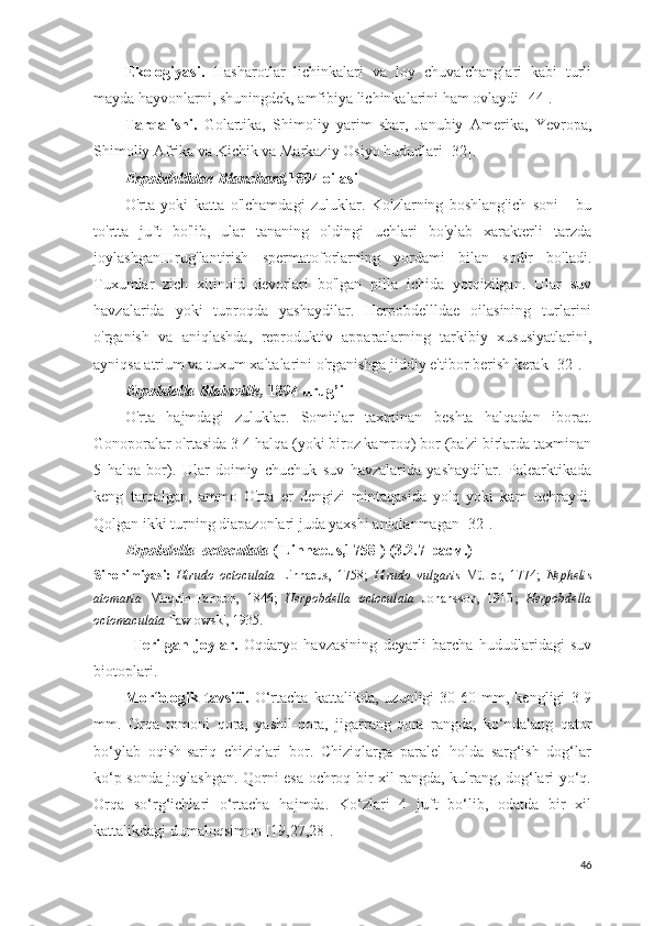 Ekologiyasi.   Hasharotlar   lichinkalari   va   loy   chuvalchanglari   kabi   turli
mayda hayvonlarni, shuningdek, amfibiya lichinkalarini ham ovlaydi  [44].
Tarqalishi.   Golartika,   Shimoliy   yarim   shar,   Janubiy   Amerika,   Yevropa,
Shimoliy Afrika va Kichik va Markaziy Osiyo hududlari  [ 32 ].
Erpobdellidae Blanchard, 1894 oilasi
O'rta   yoki   katta   o'lchamdagi   zuluklar.   Ko'zlarning   boshlang'ich   soni   -   bu
to'rtta   juft   bo'lib,   ular   tananing   oldingi   uchlari   bo'ylab   xarakterli   tarzda
joylashgan.Urug'lantirish   spermatoforlarning   yordami   bilan   sodir   bo'ladi.
Tuxumlar   zich   xitinoid   devorlari   bo'lgan   pilla   ichida   yotqizilgan.   Ular   suv
havzalarida   yoki   tuproqda   yashaydilar.   Herpobdellldae   oilasining   turlarini
o'rganish   va   aniqlashda,   reproduktiv   apparatlarning   tarkibiy   xususiyatlarini,
ayniqsa atrium va tuxum xaltalarini o'rganishga jiddiy e'tibor berish kerak  [ 32 ].  
Erpobdella Blainville,  1894 urug’i
O'rta   hajmdagi   zuluklar.   Somitlar   taxminan   beshta   halqadan   iborat.
Gonoporalar o'rtasida 3-4 halqa (yoki biroz kamroq) bor (ba'zi birlarda taxminan
5   halqa   bor).   Ular   doimiy   chuchuk   suv   havzalarida   yashaydilar.   Palearktikada
keng   tarqalgan,   ammo   O'rta   er   dengizi   mintaqasida   yo'q   yoki   kam   uchraydi.
Qolgan ikki turning diapazonlari juda yaxshi aniqlanmagan  [ 32 ].
Erpobdella  octoculata  ( Linnaeus,1758 )  ( 3.2.7 -расм.)
Sinonimiyasi:   Hirudo   octoculata   Linnaeus,   1758;   Hirudo   vulgaris   Müller ,   1774 ;   Nephelis
atomaria   M oq uin-Tandon,   1846 ;   Herpobdella   octoculata   Johansson,   1910 ;   Herpobdella
octomaculata  Pawlowski, 1935 . 
  Terilgan   joylar.   Oqdaryo   havzasining   deyarli   barcha   hududlaridagi   suv
biotoplari.  
Morfologik   tavsifi.   O‘rtacha   kattalikda,   uzunligi   30-60   mm,   kengligi   3-9
mm.   Orqa   tomoni   qora,   yashil-qora,   jigarrang-qora   rangda,   ko‘ndalang   qator
bo‘ylab   oqish-sariq   chiziqlari   bor.   Chiziqlarga   paralel   holda   sarg‘ish   dog‘lar
ko‘p sonda joylashgan. Qorni esa ochroq bir xil rangda, kulrang, dog‘lari yo‘q.
Orqa   so‘rg‘ichlari   o‘rtacha   hajmda.   Ko‘zlari   4   juft   bo‘lib,   odatda   bir   xil
kattalikdagi dumaloqsimon  [19,27,28].
46 