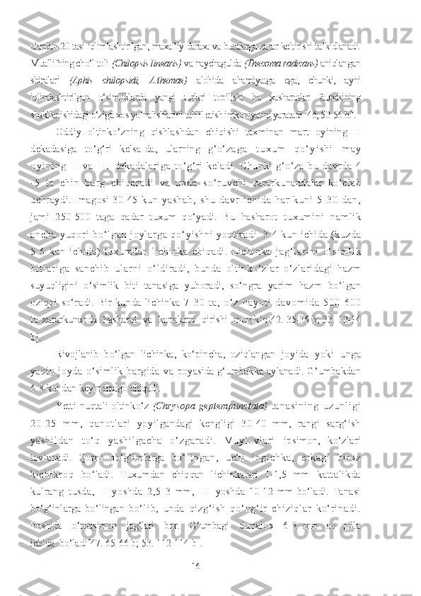 ulardan 20 tasi iqlimlashtirilgan, maxalliy daraxt va butalarga zarar keltirishi ta’kidlanadi.
Muallifning cho‘l toli  (Chilopsis linearis)  va naychagulda  (Thecoma radicans)  aniqlangan
shiralari   (Aphis   chilopsidi,   A.themae)   alohida   ahamiyatga   ega,   chunki,   ayni
iqlimlashtirilgan   o‘simliklarda   yangi   turlari   topilishi   bu   xasharotlar   faunasining
shakllanishidagi o‘ziga xos yo‘nalishlarini tahlil etish imkoniyatini yaratadi [46; 50-56 b.].
Oddiy   oltinko‘zning   qishlashdan   chiqishi   taxminan   mart   oyining   II
dekadasiga   to‘g‘ri   kelsa-da,   ularning   g‘o‘ z a g a   t u x u m   q o ‘ y i s h i   m a y
o y i n i n g   I I   v a   I I I   dekadal ar i ga   to‘ g‘r i   kel adi .   Chunki   g‘ o‘ za   bu   davr da   4
- 5   t a   c h i n   b a r g   c h i q a r a d i   v a   u n d a   s o ‘ r u v c h i   zararkunandalar   ko‘plab
uchraydi.   Imagosi   30-45   k u n   y a s h a b ,   s h u   d a v r   i c h i d a   h a r   k u n i   5 - 3 0   d a n ,
jami   250-500   taga   qadar   tuxum   qo‘yadi.   Bu   hasharot   t u x u m i n i   n a m l i k
a n c h a   y u q o r i   b o ‘ l g a n   j o y l a r g a   q o ‘ yi sh ni   y oq t i r ad i .   3- 4   ku n   i ch i d a   ( k uz da
5- 6   k un   i ch i d a)   t ux um d an   l i c hi nk a   c hi qa di .   L i c hi nk a   j a g ‘ l a r i n i   o ‘ s i m l i k
b i t l a r i g a   s a n c h i b   u l a r n i   o ‘ l d i r a d i ,   b u n d a   o l t i n k o ‘ z l a r   o‘ z l a r i d a g i   h a z m
suyuqligini   o‘simlik   biti   tanasiga   yuboradi,   so‘ngra   yarim   hazm   bo‘lgan
oziqni   so‘radi.   Bir   kunda   lichinka   7 - 3 0   t a ,   o ‘ z   h a y o t i   d a v o m i d a   5 0 0 - 6 0 0
t a   zararkunanda  hasharot  va  kanalarni  qirishi  mumkin [42. 35-36 b; 33. 12-14
b] .
Rivojlanib   bo‘lgan   lichinka,   ko‘pincha,   oziqlangan   j oyi da   yoki   unga
yaqi n   j oyda   o‘ si m l i k   bar gi da   va   poyasida  g‘umbakka aylanadi. G‘umbakdan
6-8 kundan  keyin imago chiqadi.
Yetti   nuqtali   oltinko‘z   (Chrysopa   geptempunctata)   t a n a s i n i n g   u z u n l i g i
2 0 - 2 5   m m ,   q a n o t l a r i   yoyilgandagi   kengligi   30-40   mm,   rangi   sarg‘ish
y a s h i l d a n   t o ‘ q   y a s h i l g a c h a   o ‘ z g a r a d i .   M u y l o v l a r i   ipsimon,   ko‘zlari
tovlanadi.   Qorni   bo‘g‘imlarga   b o ‘ l i n g a n ,   u c h i   i n g i c h k a ,   e r k a g i   b i r o z
k i c h i k r o q   bo‘ladi.   Tuxumdan   chiqqan   lichinkalari   1-1,5   mm   ka t t al i k da
ku l r a ng   t u sd a,   I I   yo sh da   2 ,5- 3   m m ,   I I I   yoshda   10-12   mm   bo‘ladi.   Tanasi
bo‘g‘inlarga   bo‘lingan   b o ‘ l i b ,   u n d a   q i z g ‘ i s h   q o ‘ n g ‘ i r   c h i z i q l a r   k o ‘ r i n a d i .
Boshida     o‘roqsimon     jag‘lari     bor.     G‘umbagi     dumaloq     6- 8   mm    oq   pilla
ichida  bo‘ladi [47. 65-66 b; 53. 112-114 b] .
16 