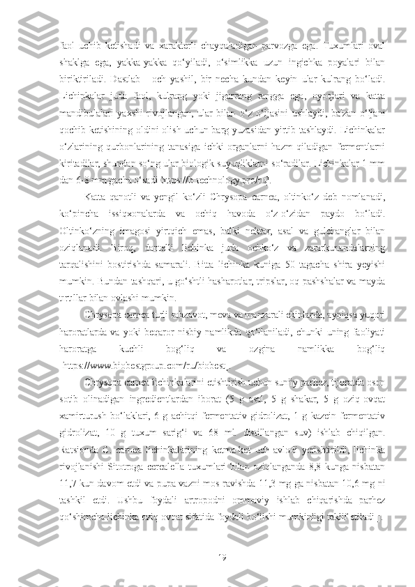 faol   uchib   ketishadi   va   xarakterli   chayqaladigan   parvozga   ega.   Tuxumlari   oval
shaklga   ega,   yakka-yakka   qo‘yiladi,   o‘simlikka   uzun   ingichka   poyalari   bilan
biriktiriladi.   Dastlab   -   och   yashil,   bir   necha   kundan   keyin   ular   kulrang   bo‘ladi.
Lichinkalar   juda   faol,   kulrang   yoki   jigarrang   rangga   ega,   oyoqlari   va   katta
mandibulalari   yaxshi   rivojlangan,   ular   bilan   o‘z   o‘ljasini   ushlaydi,   ba'zan   o‘ljani
qochib ketishining oldini olish uchun barg yuzasidan  yirtib tashlaydi.  Lichinkalar
o‘zlarining   qurbonlarining   tanasiga   ichki   organlarni   hazm   qiladigan   fermentlarni
kiritadilar, shundan so‘ng ular biologik suyuqliklarni so‘radilar. Lichinkalar 1 mm
dan 6-8 mm gacha o‘sadi[https://b-technology.pro/ru].
Katta   qanotli   va   yengil   ko‘zli   Chrysopa   carnea,   oltinko‘z   deb   nomlanadi,
ko‘pincha   issiqxonalarda   va   ochiq   havoda   o‘z-o‘zidan   paydo   bo‘ladi.
Oltinko‘zning   imagosi   yirtqich   emas,   balki   nektar,   asal   va   gulchanglar   bilan
oziqlanadi.   Biroq,   dantelli   lichinka   juda   ochko‘z   va   zararkunandalarning
tarqalishini   bostirishda   samarali.   Bitta   lichinka   kuniga   50   tagacha   shira   yeyishi
mumkin. Bundan tashqari, u go‘shtli hasharotlar, tripslar, oq pashshalar va mayda
tırtıllar bilan ovlashi mumkin.
Chrysopa carnea turli sabzavot, meva va manzarali ekinlarda, ayniqsa yuqori
haroratlarda   va   yoki   beqaror   nisbiy   namlikda   qo‘llaniladi,   chunki   uning   faoliyati
haroratga   kuchli   bog‘liq   va   ozgina   namlikka   bog‘liq
[https://www.biobestgroup.com/ru/biobest].
Chrysopa carnea lichinkalarini etishtirish uchun sun'iy parhez, tijoratda oson
sotib   olinadigan   ingredientlardan   iborat   (5   g   asal,   5   g   shakar,   5   g   oziq-ovqat
xamirturush   bo‘laklari,   6   g   achitqi   fermentativ   gidrolizat,   1   g   kazein   fermentativ
gidrolizat,   10   g   tuxum   sarig‘i   va   68   ml.   distillangan   suv)   ishlab   chiqilgan.
Ratsionda   C.   carnea   lichinkalarining   ketma-ket   uch   avlodi   yetishtirildi,   lichinka
rivojlanishi   Sitotroga   cerealella   tuxumlari   bilan   oziqlanganda   8,8   kunga   nisbatan
11,7 kun davom etdi va pupa vazni mos ravishda 11,3 mg ga nisbatan 10,6 mg ni
tashkil   etdi.   Ushbu   foydali   artropodni   ommaviy   ishlab   chiqarishda   parhez
qo‘shimcha lichinka oziq-ovqat sifatida foydali bo‘lishi mumkinligi taklif etiladi[].
19 