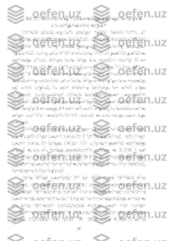 3.2. Oltinko’z entomofagini biolaboratoriyada ko‘paytirish bo‘yicha
olib borilgan tadqiqot natijalari
Oltinko‘z   tabiatda   eng   ko‘p   tarqalgan   foydalai   hasharot   bo‘lib,   uni
laboratoriya sharoitida ko‘paytirsa ham bo‘ladi. Laboratoriya sharoitida oltinko‘zni
ko‘paytirish   uchun   uning   tabiatda   yashayotgan   oltinko‘zning   kapalagidan
foydalaniladi. Buning uchun 3 litrli shisha banka olinib uni yaxshilab yuviladi va
sterilizasiya   qilinadi.   So‘ngra   banka   ichiga   kora   materialni   o‘zunligi   20   sm
kengligi 2-3 sm qilib 3-4 ta qiyilib solinadi, anna shu bankaga 100 dona otalik va
onalik   1:5   nisbatda   oltinko‘zning   kapalagidan   terib   solinadi.   Bu   oltinko‘z
kapalaklarining   oziqlantirish   uchun   banka   ichiga   soni   qo‘yilgan   kora   matervalga
asal   so‘rtib   qo‘yiladi,   bu   asalni   shishaning   deiorlariga   ham   so‘rtib   qo‘ysa
bo‘laveradi.   Bundan   tashqari   oltinko‘z   kapalaklarini   yaxshi   ovqatlanishini
ta’minlash   uchun   yaxshi   yetilgan   katta   yoshdagi   mum   kuyasi   qurtidan   o‘zunasi
20sm kengligi 5 sm taxtaga 5-6 tasini  ezib surtib qo‘yiladi, bu kapalaklar asal va
ezilgan   qurti   bilan   ovqatlanib   bir   biri   otalanadi   va   qora   matoga   tuxum   kuya
boshlaydi.
Oltinko‘zning onalik kapalaklari qo‘ygan tuxumlarni har kuni terib olinadi,
ana   shu terib olingan tuxumni boshqa bir   3 litrli bankaga solinadi. Terib olingan
tuxumni   boshqa   bir   bankaga   olishdan   oldin   u   bankani   yaxshilab   sterilizasiya
qilanadi   va   ana   shu   bankaga   zararsizlantirilib   quritilgan   va   20-30%   li   suvi
shimdirilgan olma qoqidan 3 litrli bankaga 25-30 gr dan solinadi va terib olingan
oltinko‘zning tuxumlari ham solinadi va bankaning og‘zi oq mato bilan berkitiladi,
hamda rezina ip bilan boylanadi. 
Banka   ichidagi   tuxumlardan   3-4   kun   ichida   mayda   lichinkalar   chiqa
boshlaydi.   Bir   bankaga   100-200-300-400-500   donagacha   tuxum   solish   mumkin,
tuxumlardan   lichinkalar   chiqa   boshlashi   bilanoq   bankaga   solingan   oltinko‘zning
tuxumi soniga qarab har 3 kunda 1-2-3 g dan har bir bankaga sitatroga solinadi va
shu   tariqa   lichinkalarni   boqiladi,natijada   sitotroga   tuxumi   bilan   boqilgan
oltinko‘zning lichinkasi 5 yoshni 18 - 20 kunda o‘tab olma qoqi ustida g‘umbakka
aylanadi.   G‘umbakdan   havo   harorati   +28   -   32 0
  S   namligi   80-85%   bo‘lganida
36 