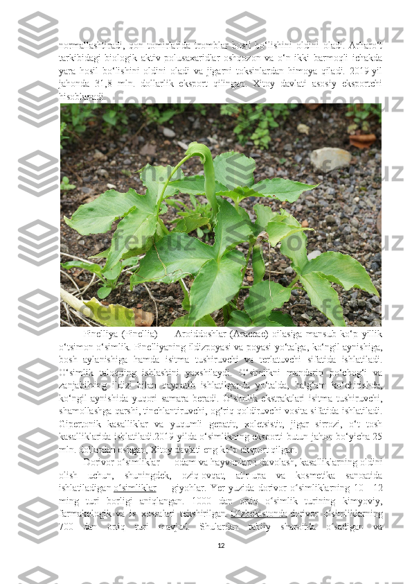 normallashtiradi,   qon   tomirlarida   tromblar   hosil   bo‘lishini   oldini   oladi.   Arharo‘t
tarkibidagi   biologik   aktiv   polusaxaridlar   oshqozon   va   o‘n   ikki   barmoqli   ichakda
yara   hosil   bo‘lishini   oldini   oladi   va   jigarni   toksinlardan   himoya   qiladi.   2019-yil
jahonda   31,8   mln.   dollarlik   eksport   qilingan.   Xitoy   davlati   asosiy   eksportchi
hisoblanadi.
Pinelliya   (Pinellia)   —   Aroiddoshlar   (Araceae)   oilasiga   mansub   ko‘p   yillik
o‘tsimon o‘simlik. Pinelliyaning ildizpoyasi va poyasi yo‘talga, ko‘ngil aynishiga,
bosh   aylanishiga   hamda   isitma   tushiruvchi   va   terlatuvchi   sifatida   ishlatiladi.
O‘simlik   taloqning   ishlashini   yaxshilaydi.   O‘simlikni   mandarin   po‘chog‘i   va
zanjabilning   ildizi   bilan   qaynatib   ishlatilganda   yo‘talda,   balg‘am   ko‘chirishda,
ko‘ngil   aynishida   yuqori   samara   beradi.   O‘simlik   ekstraktlari   isitma   tushiruvchi,
shamollashga qarshi, tinchlantiruvchi, og‘riq qoldiruvchi vosita sifatida ishlatiladi.
Gipertonik   kasalliklar   va   yuqumli   gepatit,   xoletsistit,   jigar   sirrozi,   o‘t   tosh
kasalliklarida ishlatiladi.2019-yilda o‘simlikning eksporti butun jahon bo‘yicha 25
mln. dollardan oshgan, Xitoy davlati eng ko‘p eksport qilgan.
Dorivor o simliklarʻ   — odam va hayvonlarni davolash, kasalliklarning oldini
olish   uchun,   shuningdek,   oziq-ovqat,   atir-upa   va   kosmetika   sanoatida
ishlatiladigan   o simliklar
ʻ   —   giyohlar.   Yer   yuzida   dorivor   o simliklarning   10—12	ʻ
ming   turi   borligi   aniqlangan.   1000   dan   ortiq   o simlik   turining   kimyoviy,	
ʻ
farmakologik   va   is   xossalari   tekshirilgan.   O zbekistonda	
ʻ   dorivor   o simliklarning	ʻ
700   dan   ortiq   turi   mavjud.   Shulardan   tabiiy   sharoitda   o sadigan   va
ʻ
12 