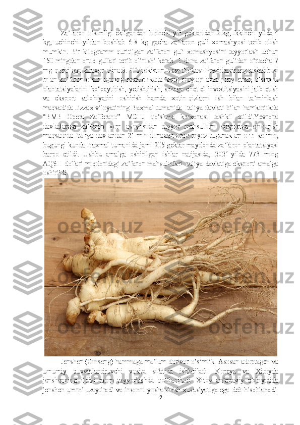 Za faron o‘simligi ekilgandan birinchi yili gektaridan 2 kg, ikkinchi yilda 4ʼ
kg,   uchinchi   yildan   boshlab   6-8   kg   gacha   za faron   guli   xomashyosi   terib   olish	
ʼ
mumkin.   Bir   kilogramm   quritilgan   za faron   guli   xomashyosini   tayyorlash   uchun	
ʼ
150   mingdan ortiq gullari terib olinishi  kerak. 1 dona za faron gulidan o‘rtacha 7	
ʼ
mg quritilgan ziravor olinadi. O‘zbekiston Respublikasi  Prezidentining tashabbusi
bilan   za faron   o‘simligining   respublikada   keng   maydonlarda   joriy   etish,   o‘simlik	
ʼ
plantatsiyalarini ko‘paytirish, yetishtirish, sohaga chet el investitsiyasini  jalb etish
va   eksport   salohiyatini   oshirish   hamda   xotin-qizlarni   ish   bilan   ta minlash	
ʼ
maqsadida Jizzax viloyatining Baxmal tumanida Italiya davlati bilan hamkorlikda
“BMB   Opera   Zafferano”   MCHJ   qo‘shma   korxonasi   tashkil   etildi.Yevropa
davlatlariga   za faron   xom   ashyosidan   tayyor   mahsulotni   eksportga   chiqarish	
ʼ
maqsadida Italiya davlatidan 21 mln donadan ortiq piyoz tuganaklari olib kelinib,
bugungi kunda Baxmal tumanida jami 205 gektar maydonda za faron plantatsiyasi	
ʼ
barpo   etildi.   Ushbu   amalga   oshirilgan   ishlar   natijasida,   2021-yilda   773   ming
AQSH dollari miqdoridagi za faron mahsulotlari Italiya davlatiga eksporti amalga	
ʼ
oshirildi.
Jenshen (Ginseng) hammaga ma lum dorivor o‘simlik. Asosan adoptagen va	
ʼ
umumiy   quvvatlantiruvchi   vosita   sifatida   ishlatiladi.   Koreya   va   Xitoyda
jenshenning   ildizi   taom   tayyorlashda   qo‘llaniladi.   Xitoy   an anaviy   tibbiyotida	
ʼ
jenshen umrni uzaytiradi va insonni yoshartirish xususiyatiga ega deb hisoblanadi.
9 