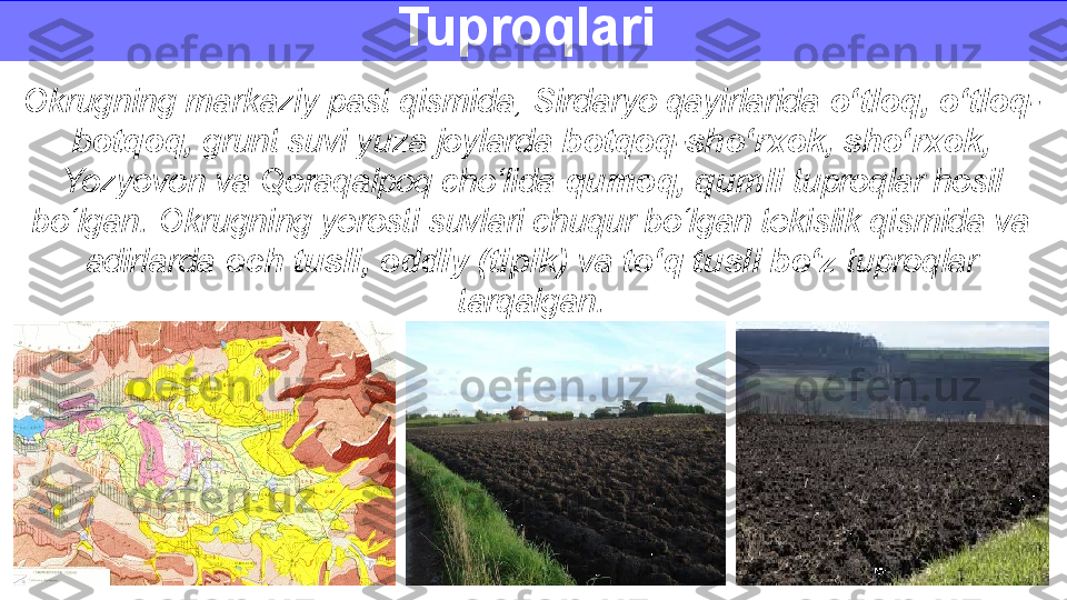 Tuproqlari 
Okrugning markaziy past qismida, Sirdaryo qayirlarida  o‘tloq, o‘tloq-
botqoq,  grunt suvi yuza joylarda  botqoq-sho‘rxok, sho‘rxok, 
Yozyovon va Qoraqalpoq cho‘lida  qumoq, qumli  tuproqlar hosil 
bo‘lgan. Okrugning yerosti suvlari chuqur bo‘lgan tekislik qismida va 
adirlarda  och tusli, oddiy (tipik)  va  to‘q tusli bo‘z  tuproqlar 
tarqalgan. 