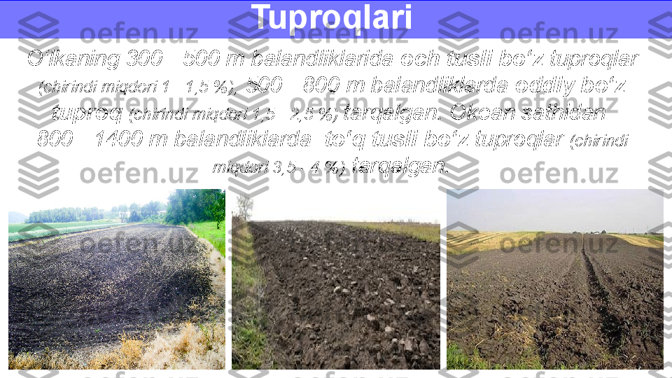 O‘lkaning 300 - 500 m balandliklarida  och tusli bo‘z  tuproqlar 
(chirindi miqdori 1 - 1,5 %),  500 - 800 m balandliklarda  oddiy bo‘z 
tuproq   (chirindi miqdori 1,5 - 2,5 %)  tarqalgan. Okean sathidan 
800 - 1400 m balandliklarda   to‘q tusli bo‘z  tuproqlar  (chirindi 
miqdori 3,5 - 4 %)  tarqalgan.Tuproqlari  