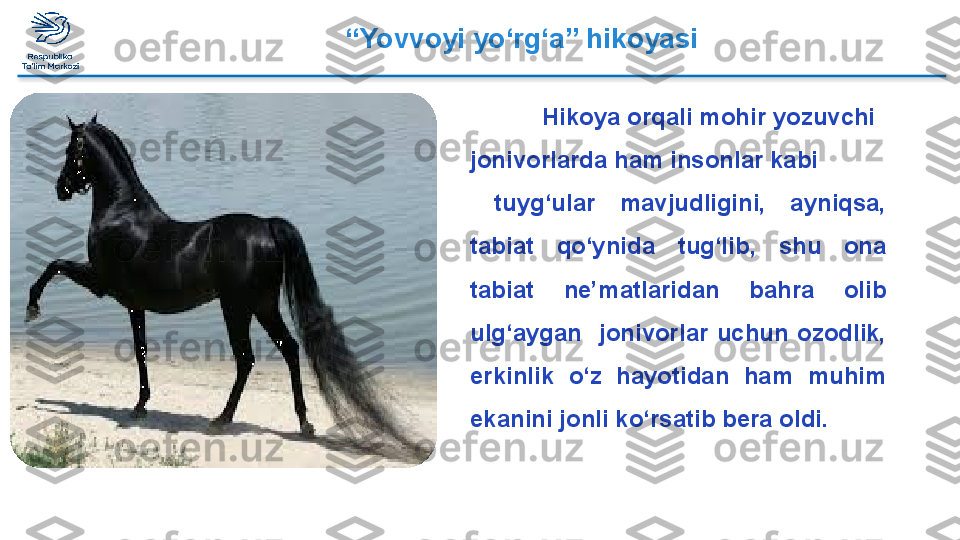 “ Yovvoyi yo‘rg‘a” hikoyasi
Hikoya orqali mohir yozuvchi 
jonivorlarda ham insonlar kabi
  tuyg‘ular  mavjudligini,  ayniqsa, 
tabiat  qo‘ynida  tug‘lib,  shu  ona 
tabiat  ne’matlaridan  bahra  olib 
ulg‘aygan    jonivorlar  uchun  ozodlik, 
erkinlik  o‘z  hayotidan  ham  muhim 
ekanini jonli ko‘rsatib bera oldi.  