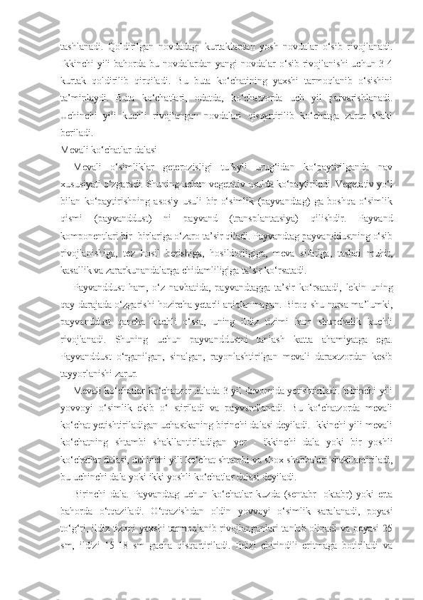 tashlanadi.   Qoldirilgan   novdadagi   kurtaklardan   yosh   novdalar   o‘sib   rivojlanadi.
Ikkinchi  yili  bahorda bu novdalardan yangi  novdalar  o‘sib rivojlanishi  uchun 3-4
kurtak   qoldirilib   qirqiladi.   Bu   buta   ko‘chatining   yaxshi   tarmoqlanib   o‘sishini
ta’minlaydi.   Buta   ko‘chatlari,   odatda,   ko‘chatzorda   uch   yil   parvarishlanadi.
Uchinchi   yili   kuchli   rivojlangan   novdalari   qisqartirilib   ko‘chatga   zarur   shakl
beriladi.
Mevali ko‘chatlar dalasi
Mevali   o‘simliklar   geterozisligi   tufayli   urug‘idan   ko‘paytirilganda   nav
xususiyati o‘zgaradi. Shuning uchun vegetativ usulda ko‘paytiriladi. Vegetativ yo‘l
bilan   ko‘paytirishning   asosiy   usuli   bir   o‘simlik   (payvandtag)   ga   boshqa   o‘simlik
qismi   (payvanddust)   ni   payvand   (transplantatsiya)   qilishdir.   Payvand
komponentlari bir- birlariga o‘zaro ta’sir qiladi. Payvandtag payvanddustning o‘sib
rivojlanishiga,   tez   hosil   berishiga,   hosildorligiga,   meva   sifatiga,   tashqi   muhit,
kasallik va zararkunandalarga chidamliligiga ta’sir ko‘rsatadi.
Payvanddust   ham,   o‘z   navbatida,   payvandtagga   ta’sir   ko‘rsatadi,   lekin   uning
qay darajada o‘zgarishi hozircha yetarli aniqlanmagan. Biroq shu narsa ma’lumki,
payvanddust   qancha   kuchli   o‘ssa,   uning   ildiz   tizimi   ham   shunchalik   kuchli
rivojlanadi.   Shuning   uchun   payvanddustni   tanlash   katta   ahamiyatga   ega.
Payvanddust   o‘rganilgan,   sinalgan,   rayonlashtirilgan   mevali   daraxtzordan   kesib
tayyorlanishi zarur.
Mevali ko‘chatlar ko‘chatzor dalada 3 yil davomida yetishtiriladi. Birinchi yili
yovvoyi   o‘simlik   ekib   o‘   stiriladi   va   payvandlanadi.   Bu   ko‘chatzorda   mevali
ko‘chat yetishtiriladigan uchastkaning birinchi dalasi deyiladi. Ikkinchi yili mevali
ko‘chatning   shtambi   shakllantiriladigan   yer   -   ikkinchi   dala   yoki   bir   yoshli
ko‘chatlar dalasi, uchinchi yili ko‘chat shtambi va shox-shabbalari shakllantiriladi,
bu uchinchi dala yoki ikki yoshli ko‘chatlar dalasi deyiladi.
Birinchi   dala.   Payvandtag   uchun   ko‘chatlar   kuzda   (sentabr-   oktabr)   yoki   erta
bahorda   o‘tqaziladi.   O‘tqazishdan   oldin   yovvoyi   o‘simlik   saralanadi,   poyasi
to‘g‘ri, ildiz tizimi yaxshi  tarmoqlanib rivojlanganlari tanlab olinadi  va poyasi 25
sm,   ildizi   15-18   sm   gacha   qisqartiriladi.   Ildizi   chirindili   eritmaga   botiriladi   va 