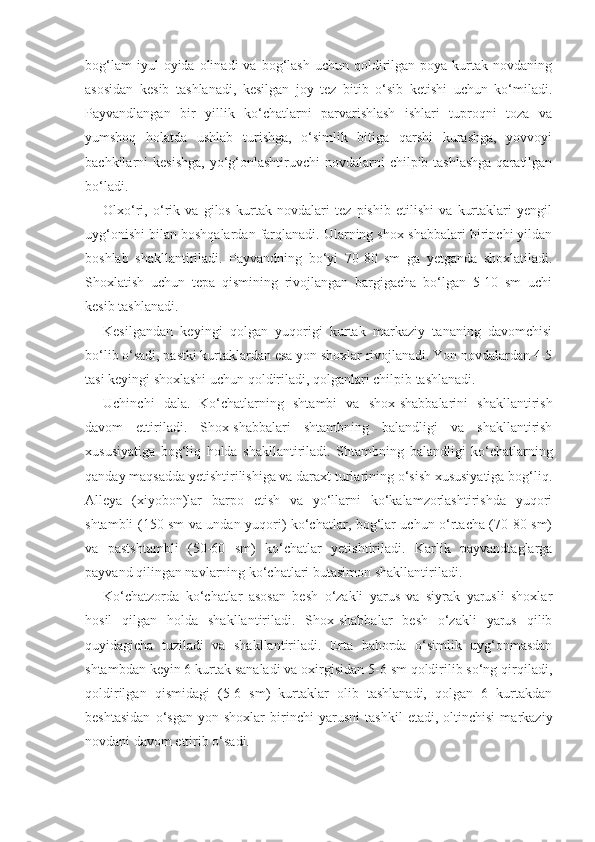 bog‘lam  iyul  oyida  olinadi  va  bog‘lash   uchun  qoldirilgan  poya  kurtak  novdaning
asosidan   kesib   tashlanadi,   kesilgan   joy   tez   bitib   o‘sib   ketishi   uchun   ko‘miladi.
Payvandlangan   bir   yillik   ko‘chatlarni   parvarishlash   ishlari   tuproqni   toza   va
yumshoq   holatda   ushlab   turishga,   o‘simlik   bitiga   qarshi   kurashga,   yovvoyi
bachkilarni  kesishga,  yo‘g‘onlashtiruvchi  novdalarni  chilpib tashlashga  qaratilgan
bo‘ladi.
Olxo‘ri,   o‘rik   va   gilos   kurtak   novdalari   tez   pishib   etilishi   va   kurtaklari   yengil
uyg‘onishi bilan boshqalardan farqlanadi. Ularning shox-shabbalari birinchi yildan
boshlab   shakllantiriladi.   Payvandning   bo‘yi   70-80   sm   ga   yetganda   shoxlatiladi.
Shoxlatish   uchun   tepa   qismining   rivojlangan   bargigacha   bo‘lgan   5-10   sm   uchi
kesib tashlanadi.
Kesilgandan   keyingi   qolgan   yuqorigi   kurtak   markaziy   tananing   davomchisi
bo‘lib o‘sadi, pastki kurtaklardan esa yon shoxlar rivojlanadi. Yon novdalardan 4-5
tasi keyingi shoxlashi uchun qoldiriladi, qolganlari chilpib tashlanadi.
Uchinchi   dala.   Ko‘chatlarning   shtambi   va   shox-shabbalarini   shakllantirish
davom   ettiriladi.   Shox-shabbalari   shtambning   balandligi   va   shakllantirish
xususiyatiga   bog‘liq   holda   shakllantiri ladi.   Shtambning   balandligi   ko‘chatlarning
qanday maqsadda yetishtirilishiga va daraxt turlarining o‘sish xususiyatiga bog‘liq.
Alleya   (xiyobon)lar   barpo   etish   va   yo‘llarni   ko‘kalamzorlashtirishda   yuqori
shtambli (150 sm va undan yuqori) ko‘chatlar, bog‘lar uchun o‘rtacha (70-80 sm)
va   pastshtambli   (50-60   sm)   ko‘chatlar   yetishtiriladi.   Karlik   payvandtaglarga
payvand qilingan navlarning ko‘chatlari butasimon shakllantiriladi.
Ko‘chatzorda   ko‘chatlar   asosan   besh   o‘zakli   yarus   va   siyrak   yarusli   shoxlar
hosil   qilgan   holda   shakllantiriladi.   Shox-shabbalar   besh   o‘zakli   yarus   qilib
quyidagicha   tuziladi   va   shakllantiriladi.   Erta   bahorda   o‘simlik   uyg‘onmasdan
shtambdan keyin 6 kurtak sanaladi va oxirgisidan 5-6 sm qoldirilib so‘ng qirqiladi,
qoldirilgan   qismidagi   (5-6   sm)   kurtaklar   olib   tashlanadi,   qolgan   6   kurtakdan
beshtasidan   o‘sgan   yon   shoxlar   birinchi   yarusni   tashkil   etadi,   oltinchisi   markaziy
novdani davom ettirib o‘sadi. 