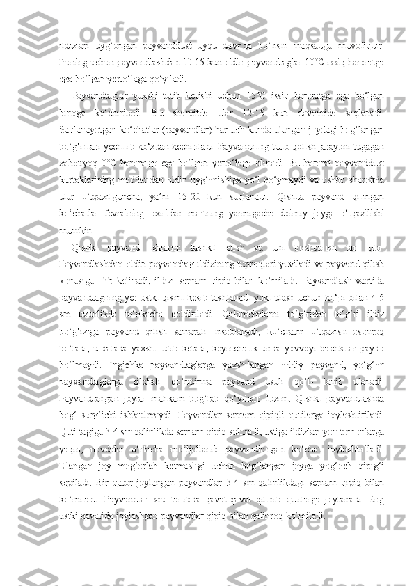 ildizlari   uyg‘ongan   payvanddust   uyqu   davrida   bo‘lishi   maqsadga   muvofiqdir.
Buning uchun payvandlashdan 10-15 kun oldin payvandtaglar 10°C issiq haroratga
ega bo‘lgan yerto‘laga qo‘yiladi.
Payvandtaglar   yaxshi   tutib   ketishi   uchun   15°C   issiq   haroratga   ega   bo‘lgan
binoga   ko‘chiriladi.   Bu   sharoitda   ular   12-15   kun   davomida   saqlanadi.
Saqlanayotgan ko‘chatlar (payvandlar) har uch kunda ulangan joydagi bog‘langan
bo‘g‘inlari yechilib ko‘zdan kechiriladi. Payvandning tutib qolish jarayoni tugagan
zahotiyoq   0°C   haroratga   ega   bo‘lgan   yerto‘laga   olinadi.   Bu   harorat   payvanddust
kurtaklarining muddatidan oldin uyg‘onishiga  yo‘l  qo‘ymaydi  va ushbu  sharoitda
ular   o‘tqazilguncha,   ya’ni   15-20   kun   saqlanadi.   Qishda   payvand   qilingan
ko‘chatlar   fevralning   oxiridan   martning   yarmigacha   doimiy   joyga   o‘tqazilishi
mumkin.
Qishki   payvand   ishlarini   tashkil   etish   va   uni   boshqarish   tar-   tibi.
Payvandlashdan oldin payvandtag ildizining tuproqlari yuviladi va payvand qilish
xonasiga   olib   kelinadi,   ildizi   sernam   qipiq   bilan   ko‘miladi.   Payvandlash   vaqtida
payvandtagning yer ustki qismi kesib tashlanadi yoki ulash uchun ko‘pi bilan 4-6
sm   uzunlikda   to‘nkacha   qoldiriladi.   Qalamchalarni   to‘g‘ridan   to‘g‘ri   ildiz
bo‘g‘iziga   payvand   qilish   samarali   hisoblanadi,   ko‘chatni   o‘tqazish   osonroq
bo‘ladi,   u   dalada   yaxshi   tutib   ketadi,   keyinchalik   unda   yovvoyi   bachkilar   paydo
bo‘lmaydi.   Ingichka   payvandtaglarga   yaxshilangan   oddiy   payvand,   yo‘g‘on
payvandtaglarga   tilchali   qo‘ndirma   payvand   usuli   qo‘l-   lanib   ulanadi.
Payvandlangan   joylar   mahkam   bog‘lab   qo‘yilishi   lozim.   Qishki   payvandlashda
bog‘   surg‘ichi   ishlatilmaydi.   Payvandlar   sernam   qipiqli   qutilarga   joylashtiriladi.
Quti tagiga 3-4 sm qalinlikda sernam qipiq solinadi, ustiga ildizlari yon tomonlarga
yaqin,   novdalar   o‘rtacha   mo‘ljallanib   payvandlangan   ko‘chat   joylashtiriladi.
Ulangan   joy   mog‘orlab   ketmasligi   uchun   bog‘langan   joyga   yog‘och   qipig‘i
sepiladi.   Bir   qator   joylangan   payvandlar   3-4   sm   qalinlikdagi   sernam   qipiq   bilan
ko‘miladi.   Payvandlar   shu   tartibda   qavat-qavat   qilinib   qutilarga   joylanadi.   Eng
ustki qavatida joylashgan payvandlar qipiq bilan qalinroq ko‘miladi. 