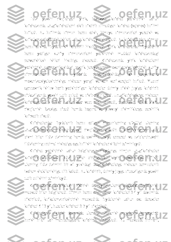 Ildizi   yaxshi   rivojlangan   yirik,   baquvvat   ko‘chat   yetishtirish   uchun
ko‘chatzorda   urug‘ko‘chatlarni   ekib   o‘stirib   olinadigan   ko‘chat   (sajenes)   bo‘limi
bo‘ladi.   Bu   bo‘limda   o‘rmon   barpo   etish,   himoya   o‘rmonzorlari   yaratish   va
ko‘kalamzorlashtirish ishlari uchun ko‘chat yetishtiriladi. Bu ko‘chatlardan o‘rmon
barpo   etishda   foydalanish   istiqbolli   hisoblanadi.   Yirik   ko‘chatlardan   foydalanib
barpo   yetilgan   sun’iy   o‘rmonzorlarni   yetishtirish   muddati   ko‘chatzordagi
parvarishlash   ishlari   hisobiga   qisqaradi.   Ko‘chatzorda   yirik   ko‘chatlarni
yetishtirish   agrotexnikasidagi   texnik   jarayonlarni   mexanizatsiyalashtirish   sun’iy
o‘rmonzorlarni   birinchi   yillarida   parvarishlashdagi   ish   jarayonlarini
mexanizatsiyalashtirishga   nisba tan   yengil   va   kam   sarf-xarajatli   bo‘ladi.   Yuqori
agrotexnik   ishlov   berib   yetishtirilgan   ko‘chatlar   doimiy   o‘sish   joyiga   ko‘chirib
o‘tkazilganda yaxshi  tutib qoladi va o‘sib-rivojlanadi. Urug‘ko‘chatlarga nisbatan
ko‘chatga   tutib   qolishi   uchun   kam   vaqt   talab   qilinadi,   qisqa   vaqt   ichida   o‘sib-
rivojlanish   fazasiga   o‘tadi   hamda   begona   va   yovvoyi   o‘simliklarga   qarshilik
ko‘rsatib o‘sadi.
Ko‘chatlardan   foydalanib   barpo   etilgan   o‘rmonlarning   afzalligi   ularning
urug‘ko‘chatlarga   nisbatan   yaxshi   rivojlanganligidadir.   O‘simlikning   yer   ustki
qismi   bilan   ildiz   tizimining   hamda   assimila-   tsiya   apparati   va   oziqlantiruvchi
ildizlarning optimal nisbatiga ega bo‘lishi ko‘chatlar sifatini ta’minlaydi.
Ko‘chat   yetishtirish   uchun   belgilangan   maydonga   nimjon   urug‘ko‘chatlar
ko‘chirib   o‘tqaziladi.   Ildizi   qisman   qirqilgandan   keyin   regeneratsiya   bo‘lishi
ularning   ildiz   tizimini   bir   xil   yoshdagi   urug‘ko‘chatlarga   nisbatan   tarmoqlanib
ixcham shakllanishiga olib keladi. Bu ko‘chirib, doimiy joyga o‘tqazilganda yaxshi
tutib qolishini ta’minlaydi.
Ko‘chatzorda   ko‘chatlarni   o‘stirish   doimiyligi   ularni   kelajakda   foydalanish
maqsadi bilan belgilanadi. O‘rmon barpo etish uchun ko‘chatlar 2-4 yil davomida
o‘stiriladi,   ko‘kalamzorlashtirish   maqsadida   foydalanish   uchun   esa   daraxtlar
ko‘chati 6-12 yil, butalar ko‘chati 2-3 yil o‘stiriladi.
Ko‘chatlarni   o‘stirish   davomida   ularning   oziqlanish   maydonini   kengaytirib
borish   bilan   uch   marotabagacha   ko‘chirib   o‘tqaziladi.   Bu   maqsadda   birinchi, 