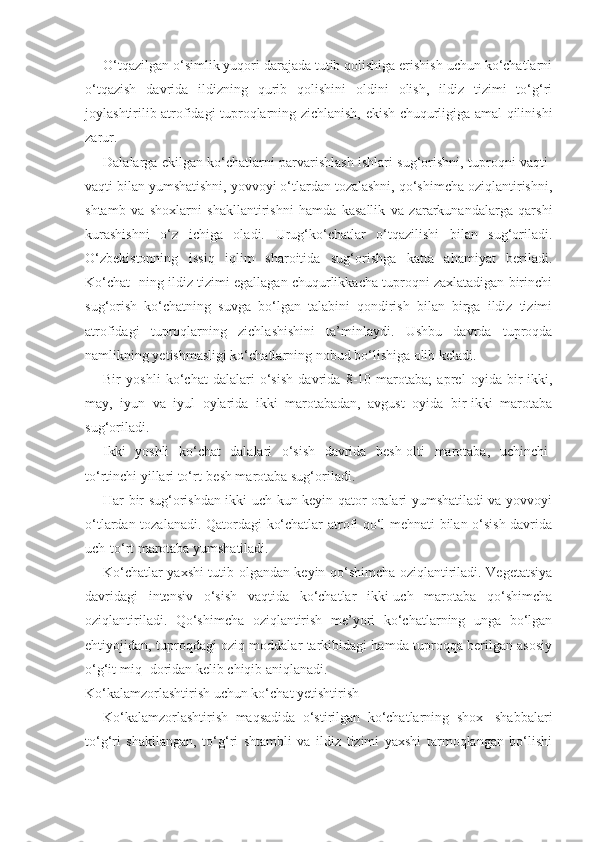 O‘tqazilgan o‘simlik yuqori darajada tutib qolishiga erishish uchun ko‘chatlarni
o‘tqazish   davrida   ildizning   qurib   qolishini   oldini   olish,   ildiz   tizimi   to‘g‘ri
joylashtirilib atrofidagi tuproqlarning zichlanish, ekish chuqurligiga amal qilinishi
zarur.
Dalalarga ekilgan ko‘chatlarni parvarishlash ishlari sug‘orishni, tuproqni vaqti-
vaqti bilan yumshatishni, yovvoyi o‘tlardan tozalashni, qo‘shimcha oziqlantirishni,
shtamb   va   shoxlarni   shakllantirishni   hamda   kasallik   va   zararkunandalarga   qarshi
kurashishni   o‘z   ichiga   oladi.   Urug‘ko‘chatlar   o‘tqazilishi   bilan   sug‘oriladi.
O‘zbekistonning   issiq   iqlim   sharoitida   sug‘orishga   katta   ahamiyat   beriladi.
Ko‘chat- ning ildiz tizimi egallagan chuqurlikkacha tuproqni zaxlatadigan birinchi
sug‘orish   ko‘chatning   suvga   bo‘lgan   talabini   qondirish   bilan   birga   ildiz   tizimi
atrofidagi   tuproqlarning   zichlashishini   ta’minlaydi.   Ushbu   davrda   tuproqda
namlikning yetishmasligi ko‘chatlarning nobud bo‘lishiga olib keladi.
Bir   yoshli   ko‘chat   dalalari   o‘sish   davrida   8-10   marotaba;   aprel   oyida   bir-ikki,
may,   iyun   va   iyul   oylarida   ikki   marotabadan,   avgust   oyida   bir-ikki   marotaba
sug‘oriladi.
Ikki   yoshli   ko‘chat   dalalari   o‘sish   davrida   besh-olti   marotaba,   uchinchi-
to‘rtinchi yillari to‘rt-besh marotaba sug‘oriladi.
Har bir sug‘orishdan ikki-uch kun keyin qator oralari yumshatiladi va yovvoyi
o‘tlardan tozalanadi. Qatordagi ko‘chatlar atrofi qo‘l mehnati bilan o‘sish davrida
uch-to‘rt marotaba yumshatiladi.
Ko‘chatlar yaxshi tutib olgandan keyin qo‘shimcha oziqlantiriladi. Vegetatsiya
davridagi   intensiv   o‘sish   vaqtida   ko‘chatlar   ikki-uch   marotaba   qo‘shimcha
oziqlantiriladi.   Qo‘shimcha   oziqlantirish   me’yori   ko‘chatlarning   unga   bo‘lgan
ehtiyojidan, tuproqdagi oziq moddalar tarkibidagi hamda tuproqqa berilgan asosiy
o‘g‘it miq- doridan kelib chiqib aniqlanadi.
Ko‘kalamzorlashtirish uchun ko‘chat yetishtirish
Ko‘kalamzorlashtirish   maqsadida   o‘stirilgan   ko‘chatlarning   shox-   shabbalari
to‘g‘ri   shakllangan,   to‘g‘ri   shtambli   va   ildiz   tizimi   yaxshi   tarmoqlangan   bo‘lishi 