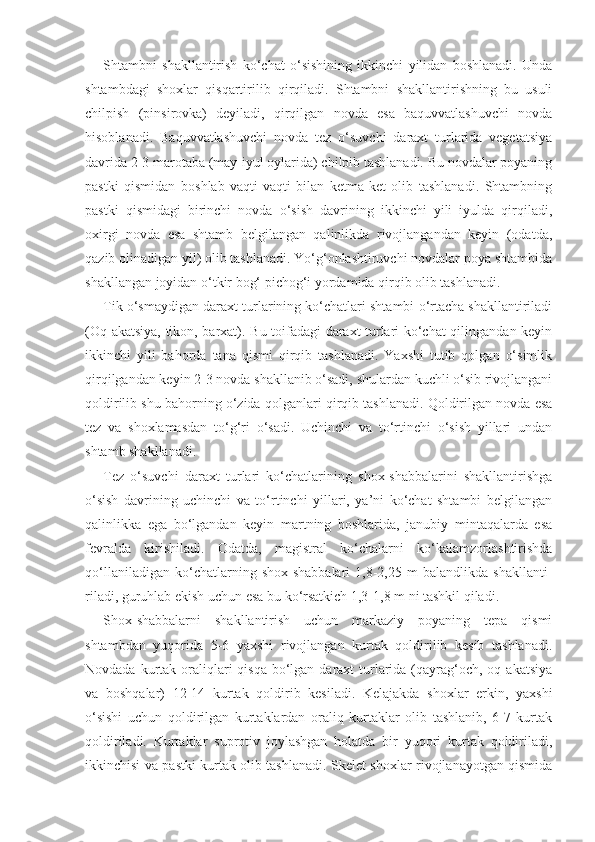 Shtambni   shakllantirish   ko‘chat   o‘sishining   ikkinchi   yilidan   boshlanadi.   Unda
shtambdagi   shoxlar   qisqartirilib   qirqiladi.   Shtambni   shakllantirishning   bu   usuli
chilpish   (pinsirovka)   deyiladi,   qirqilgan   novda   esa   baquvvatlashuvchi   novda
hisoblanadi.   Baquvvatlashuvchi   novda   tez   o‘suvchi   daraxt   turlarida   vegetatsiya
davrida 2-3 marotaba (may-iyul oylarida) chilpib tashlanadi. Bu novdalar poyaning
pastki   qismidan   boshlab   vaqti-vaqti   bilan   ketma-ket   olib   tashlanadi.   Shtambning
pastki   qismidagi   birinchi   novda   o‘sish   davrining   ikkinchi   yili   iyulda   qirqiladi,
oxirgi   novda   esa   shtamb   belgilangan   qalinlikda   rivojlangandan   keyin   (odatda,
qazib olinadigan yil) olib tashlanadi. Yo‘g‘onlashtiruvchi novdalar poya shtambida
shakllangan joyidan o‘tkir bog‘ pichog‘i yordamida qirqib olib tashlanadi.
Tik o‘smaydigan daraxt turlarining ko‘chatlari shtambi o‘rtacha shakllantiriladi
(Oq akatsiya, tikon, barxat). Bu toifadagi daraxt turlari ko‘chat qilingandan keyin
ikkinchi   yili   bahorda   tana   qismi   qirqib   tashlanadi.   Yaxshi   tutib   qolgan   o‘simlik
qirqilgandan keyin 2-3 novda shakllanib o‘sadi, shulardan kuchli o‘sib rivojlangani
qoldirilib shu bahorning o‘zida qolganlari qirqib tashlanadi. Qoldirilgan novda esa
tez   va   shoxlamasdan   to‘g‘ri   o‘sadi.   Uchinchi   va   to‘rtinchi   o‘sish   yillari   undan
shtamb shakllanadi.
Tez   o‘suvchi   daraxt   turlari   ko‘chatlarining   shox-shabbalarini   shakllantirishga
o‘sish   davrining   uchinchi   va   to‘rtinchi   yillari,   ya’ni   ko‘chat   shtambi   belgilangan
qalinlikka   ega   bo‘lgandan   keyin   martning   boshlarida,   janubiy   mintaqalarda   esa
fevralda   kirishiladi.   Odatda,   magistral   ko‘chalarni   ko‘kalamzorlashtirishda
qo‘llaniladigan   ko‘chatlarning   shox-shabbalari   1,8-2,25   m   balandlikda   shakllanti -
riladi, guruhlab ekish uchun esa bu ko‘rsatkich 1,3-1,8 m ni tashkil qiladi.
Shox-shabbalarni   shakllantirish   uchun   markaziy   poyaning   tepa   qismi
shtambdan   yuqorida   5-6   yaxshi   rivojlangan   kurtak   qoldirilib   kesib   tashlanadi.
Novdada kurtak oraliqlari  qisqa  bo‘lgan daraxt  turlarida (qayrag‘och,  oq akatsiya
va   boshqalar)   12-14   kurtak   qoldirib   kesiladi.   Kelajakda   shoxlar   erkin,   yaxshi
o‘sishi   uchun   qoldirilgan   kurtaklardan   oraliq   kurtaklar   olib   tashlanib,   6-7   kurtak
qoldiriladi.   Kurtaklar   suprotiv   joylashgan   holatda   bir   yuqori   kurtak   qoldiriladi,
ikkinchisi va pastki kurtak olib tashlanadi. Skelet shoxlar rivojlanayotgan qismida 