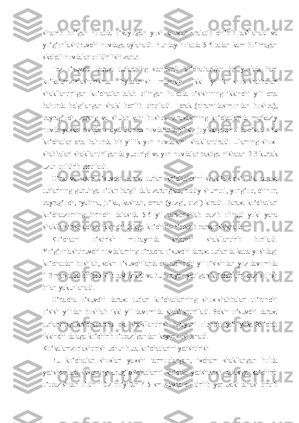 shtamb   bo‘lgan   holatda   o‘sayotgan   yosh   shoxlar   oralatib   chilpib   tashlanadi   va
yo‘g‘onlashtiruvchi   novdaga   aylanadi.   Bunday   holatda   5-6   tadan   kam   bo‘lmagan
skeletli novdalar qoldirilishi zarur.
Tez   o‘suvchi   daraxt   turlarining   standartli   ko‘chatlaridan   bir   yoshda   ham
ko‘kalamzorlashtirishda   foydalanish   mumkin.   Ikki   yillik   shox-shabbalari
shakllantirilgan   ko‘chatlar   talab   qilingan   holatda   o‘sishining   ikkinchi   yili   erta
bahorda   belgilangan   shakl   berilib   qirqiladi.   Terak   (piramidasimondan   boshqa),
qayrag‘och,   zarang   va   shular   kabi   boshqa   daraxtlarning   ko‘chatlarida   markaziy
novda yaxshi rivojlanmaydi hamda novdalar tartibsiz joylashgan holda o‘sadi. Bu
ko‘chatlar   erta   bahorda   bir   yillik   yon   novdalarni   shakllantiradi.   Ularning   shox-
shabbalari shakllantirilganda yuqorigi va yon novdalar pastiga nisbatan 2-3 kurtak
uzun qoldirib qirqiladi.
O‘rta   va   sekin   o‘suvchi   daraxt   turlari   ko‘chatlarini   shakllantirish.   Bu   daraxt
turlarining guruhiga o‘tkir bargli dala zaranglari, oddiy shumtol, yong‘oq, chinor,
qayrag‘och, ryabina, jo‘ka, kashtan, eman (yozgi, qizil)  kiradi. Daraxt ko‘chatlari
ko‘chatzorning   birinchi   dalasida   5-6   yil   parvarishlab   qazib   olinadi   yoki   yana
shakllantirish uchun ikkinchi dalaga ko‘chirib o‘tqazib parvarishlanadi.
Ko‘chatni   o‘stirish   mobaynida   shtambi   shakllantirib   boriladi.
Yo‘g‘onlashtiruvchi novdalarning o‘rtacha o‘suvchi daraxt turlarida katta yoshdagi
ko‘chatdan boshlab, sekin o‘suvchilarda esa uchinchi yil o‘sishidan yoz davomida
1-2 marotaba chilpib olib tashlanadi va bu jarayon yetilgan ko‘chatlarni qazib olish
bilan yakunlanadi.
O‘rtacha   o‘suvchi   daraxt   turlari   ko‘chatlarining   shox-shabbalari   to‘rtinchi
o‘sish   yilidan   boshlab   ikki   yil   davomida   shakllantiriladi.   Sekin   o‘suvchi   daraxt
turlarining   ko‘chatlarida   esa   shakllantirish   jarayoni   oltinchi   yili   yoki   ko‘chat
ikkinchi dalaga ko‘chirib o‘tqazilgandan keyin boshlanadi.
Ko‘kalamzorlashtirish uchun buta ko‘chatlarini yetishtirish
Bu   ko‘chatlar   shoxlari   yaxshi   tarmoqlangan,   ixcham   shakllangan   holda
yetishtiriladi.   Ularning   urug‘ko‘chatlarini   ko‘chat   yetishtirish   dalasiga   ko‘chirib
o‘tqazishdan   oldin   ildiz   bo‘yidan   4-5   sm   novda   qoldirilib   yer   ustki   tanasi   qirqib 