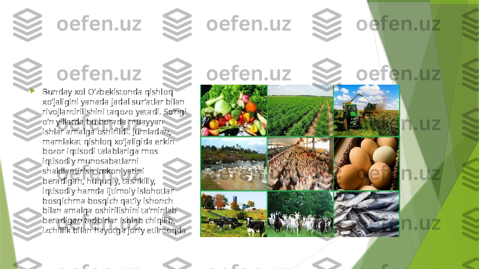 
Bunday xol O’zbekistonda qishloq 
xo’jaligini yanada jadal sur’atlar bilan 
rivojlantirilishini taqozo yetadi. So’ngi 
o’n yillarda bu borada muayyan 
ishlar amalga oshirildi. Jumladan, 
mamlakat qishloq xo’jaligida erkin 
bozor iqtisodi talablariga mos 
iqtisodiy munosabatlarni 
shakllantirish imkoniyatini 
beradigan, huquqiy, tashkiliy, 
iqtisodiy hamda ijtimoiy islohotlar 
bosqichma-bosqich qat’iy ishonch 
bilan amalga oshirilishini ta’minlab 
beradigan tadbirlar ishlab chiqilib, 
izchillik bilan hayotga joriy etilmoqda                 