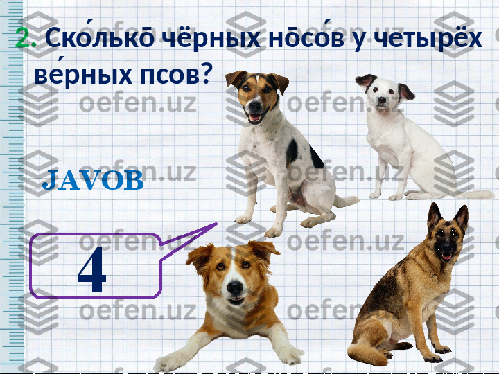 2.  Ско ́льк ō  чёрных н ō со ́в у четырёх 
ве ́рных псов?   
JAVOB
4   